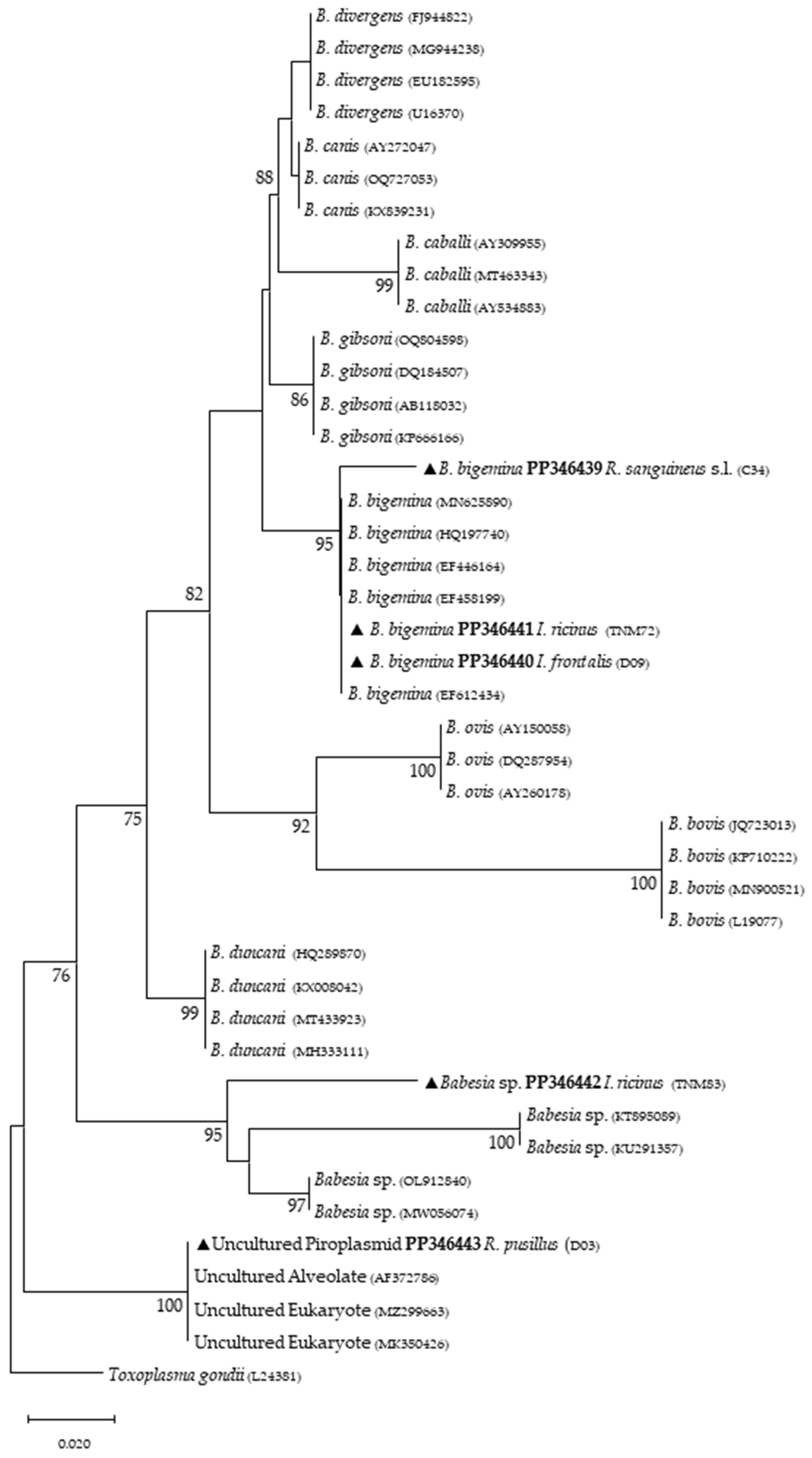 Microorganisms 12 01006 g002