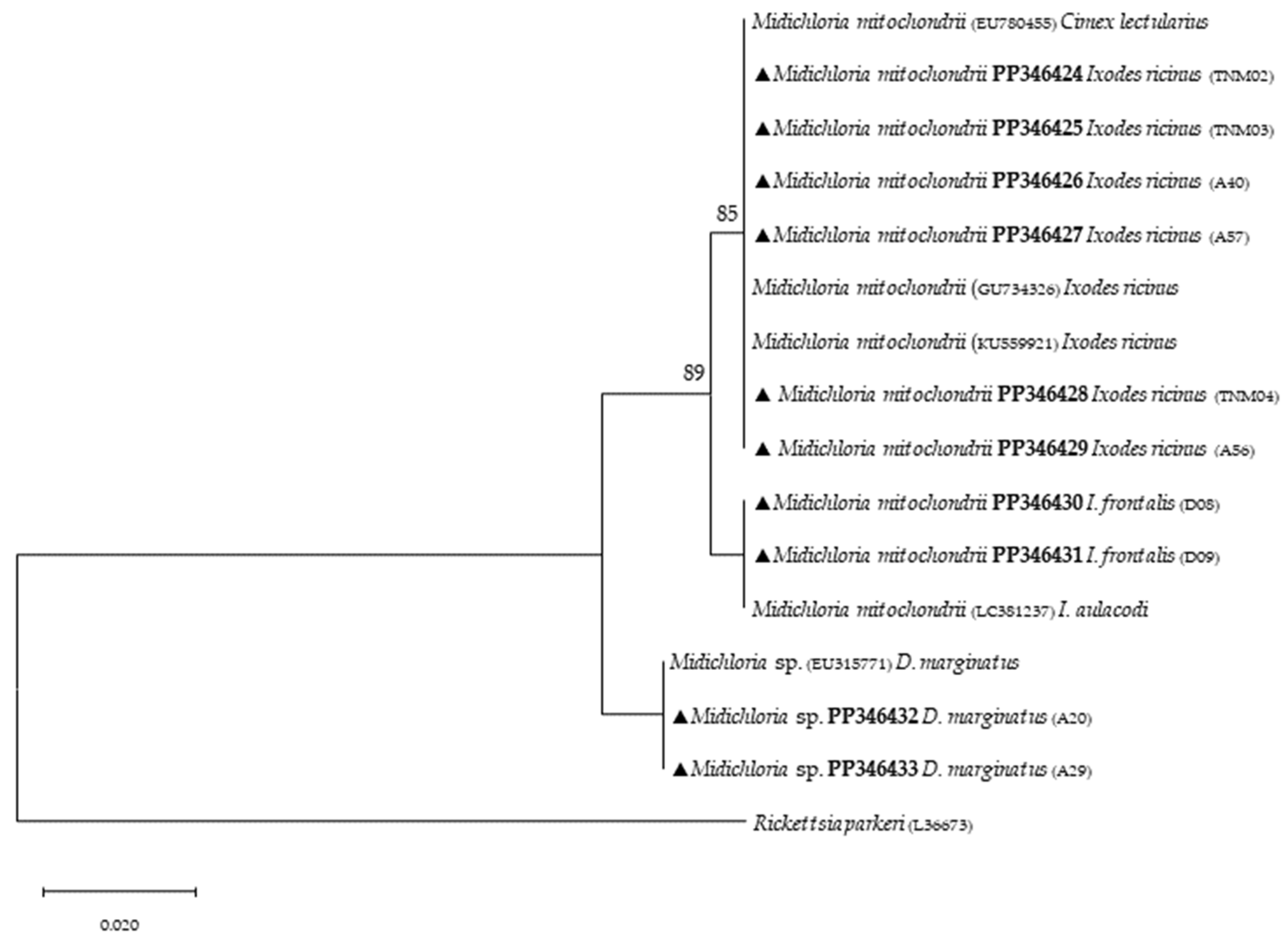 Microorganisms 12 01006 g004