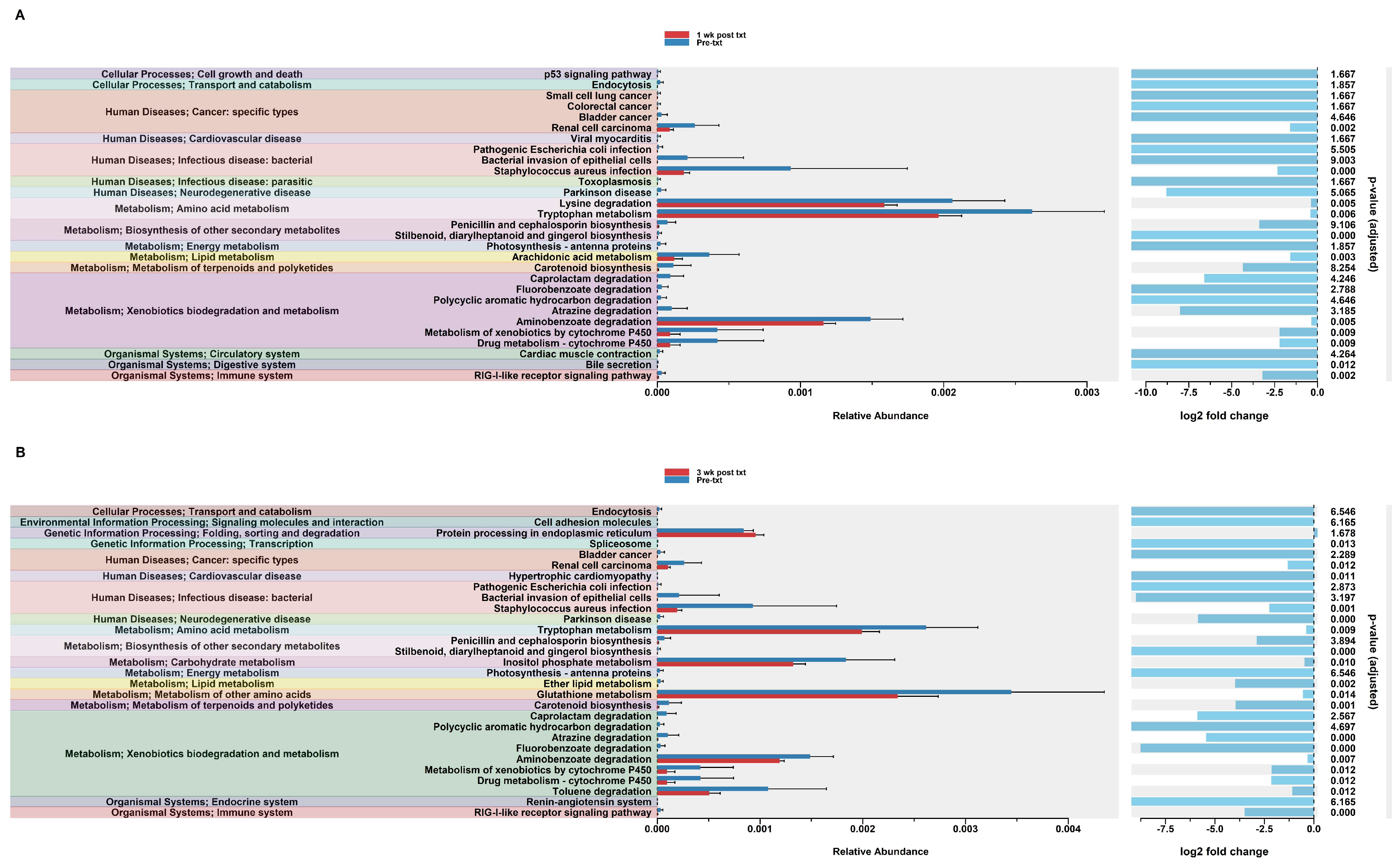 Microorganisms 12 01015 g007