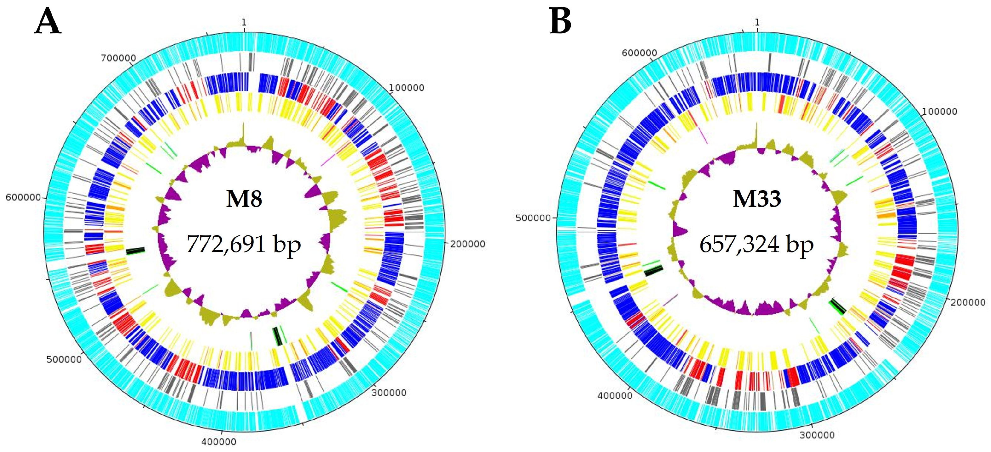 Microorganisms 12 01016 g003