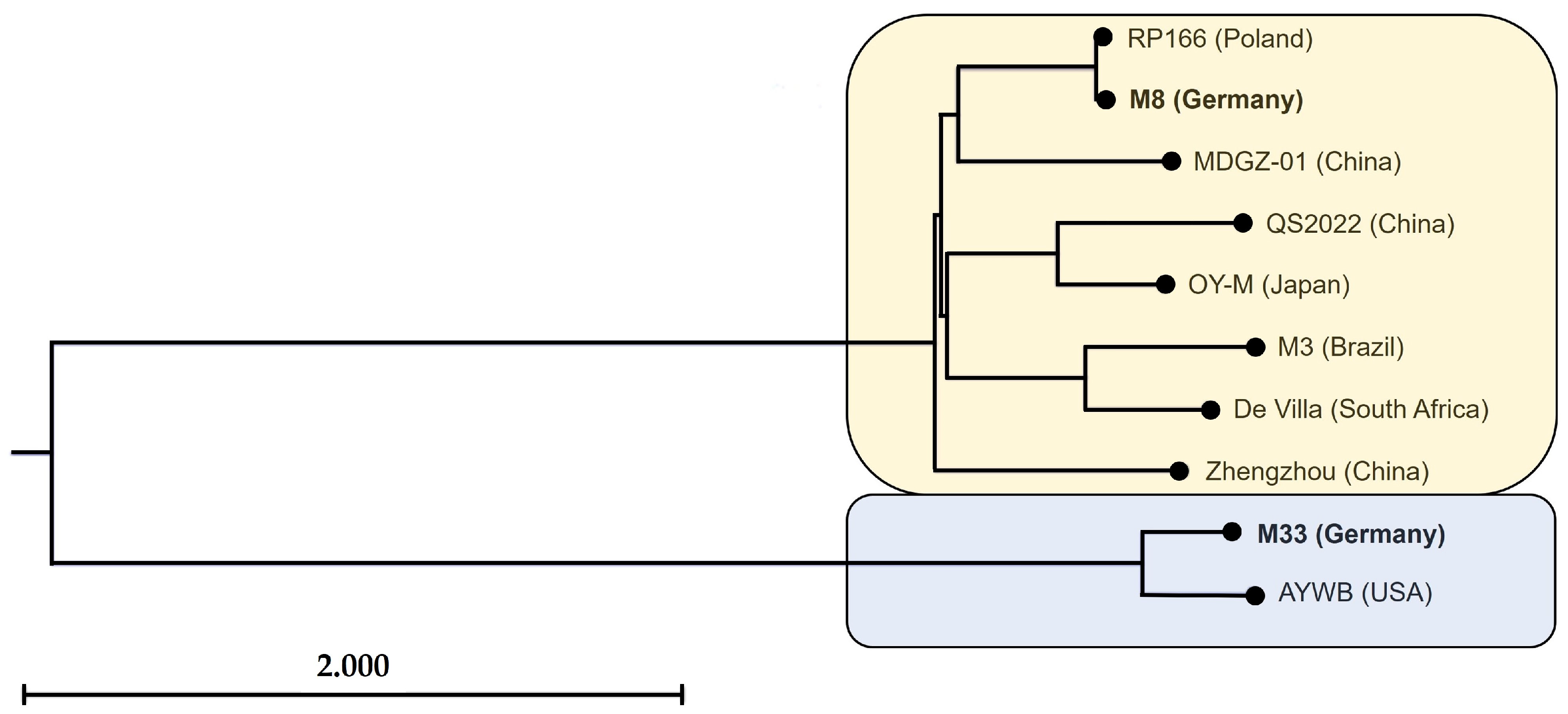 Microorganisms 12 01016 g004