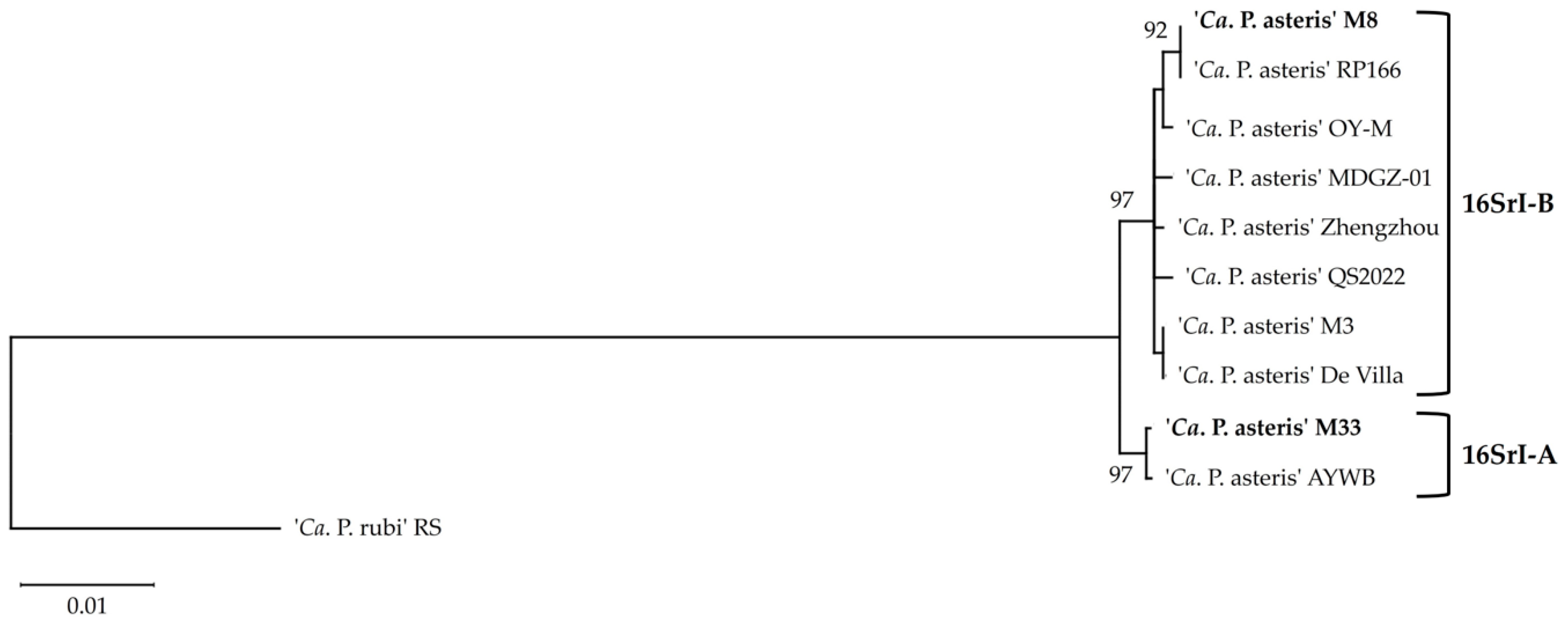 Microorganisms 12 01016 g006
