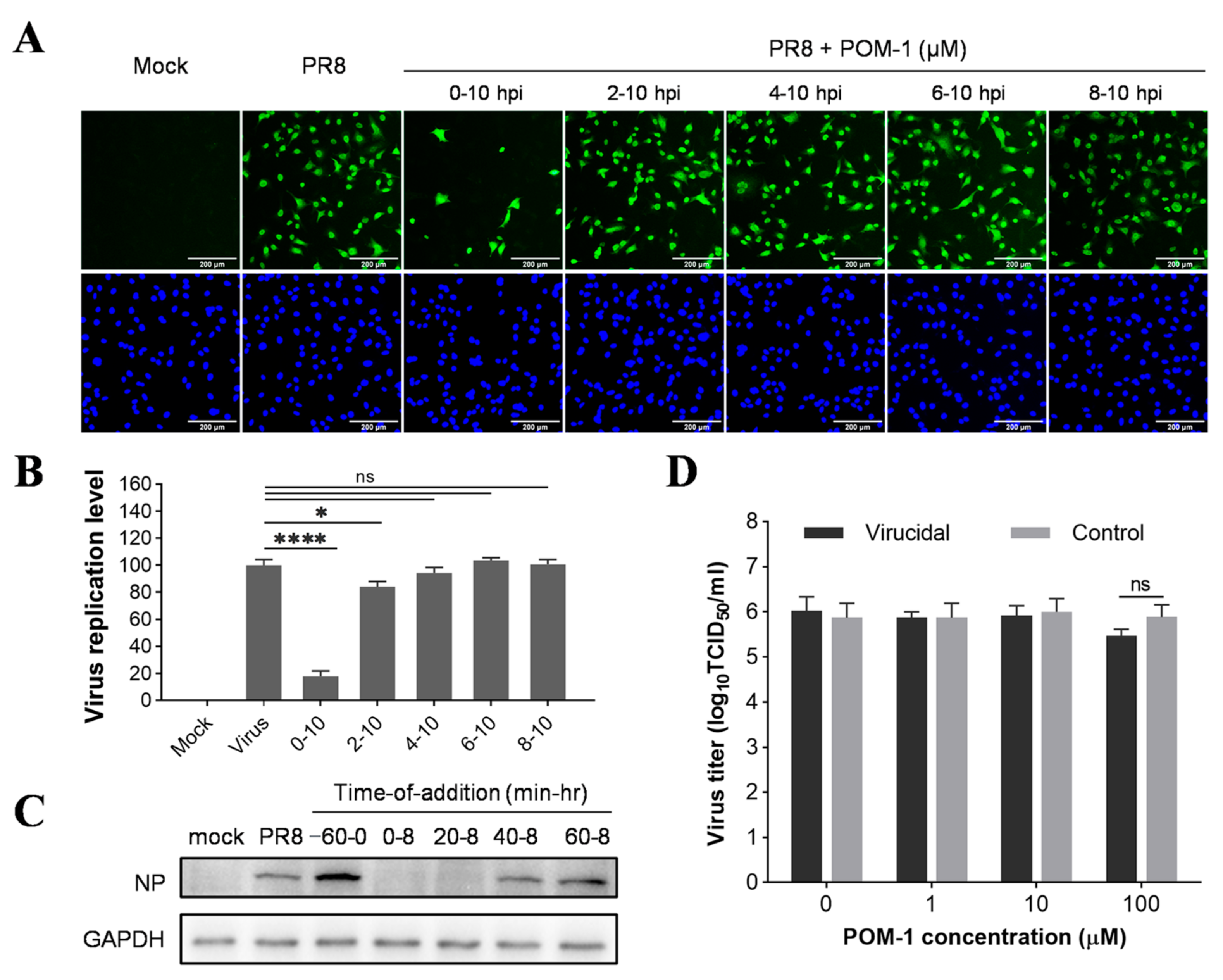 Microorganisms 12 01017 g002