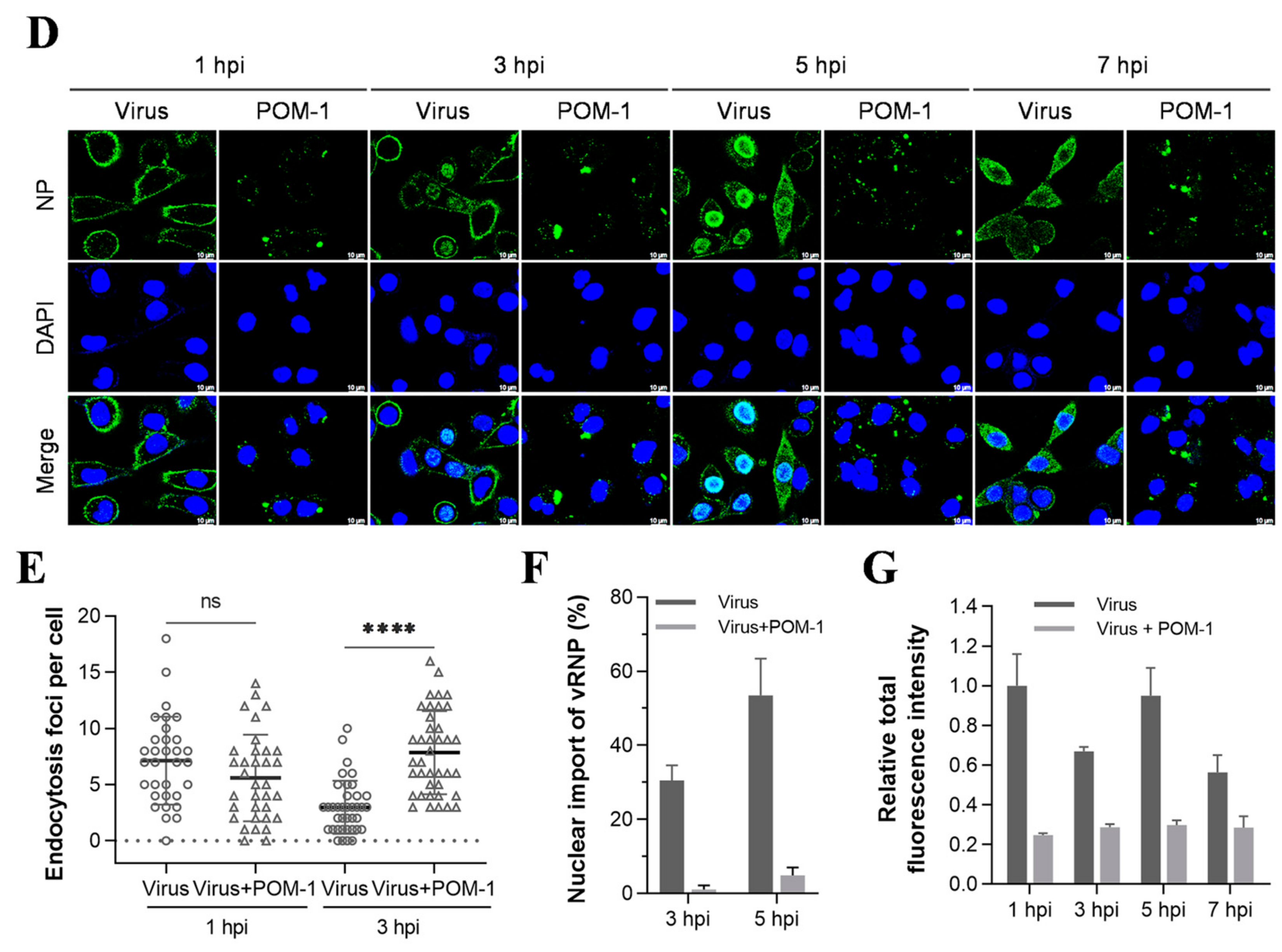 Microorganisms 12 01017 g003b