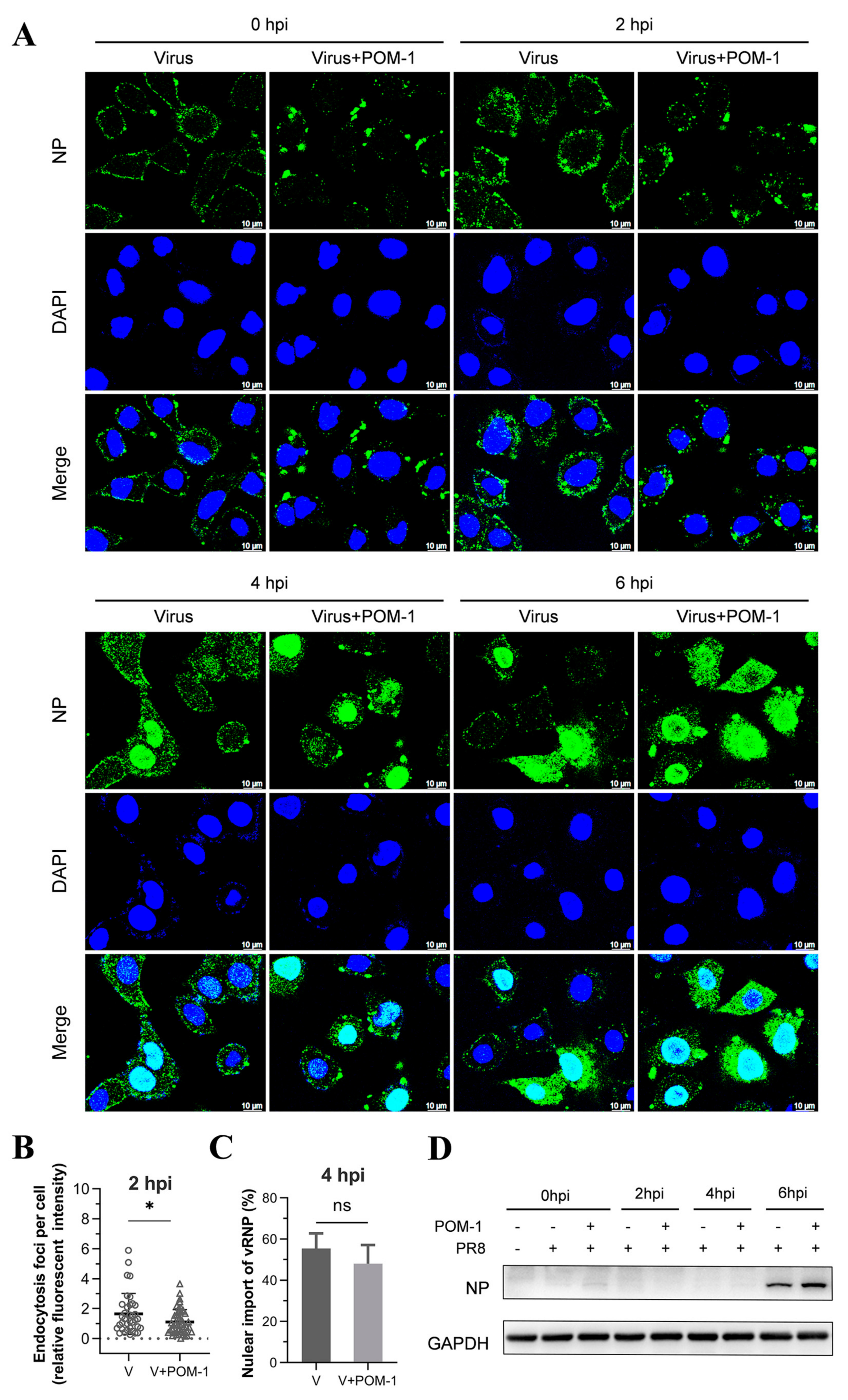 Microorganisms 12 01017 g004
