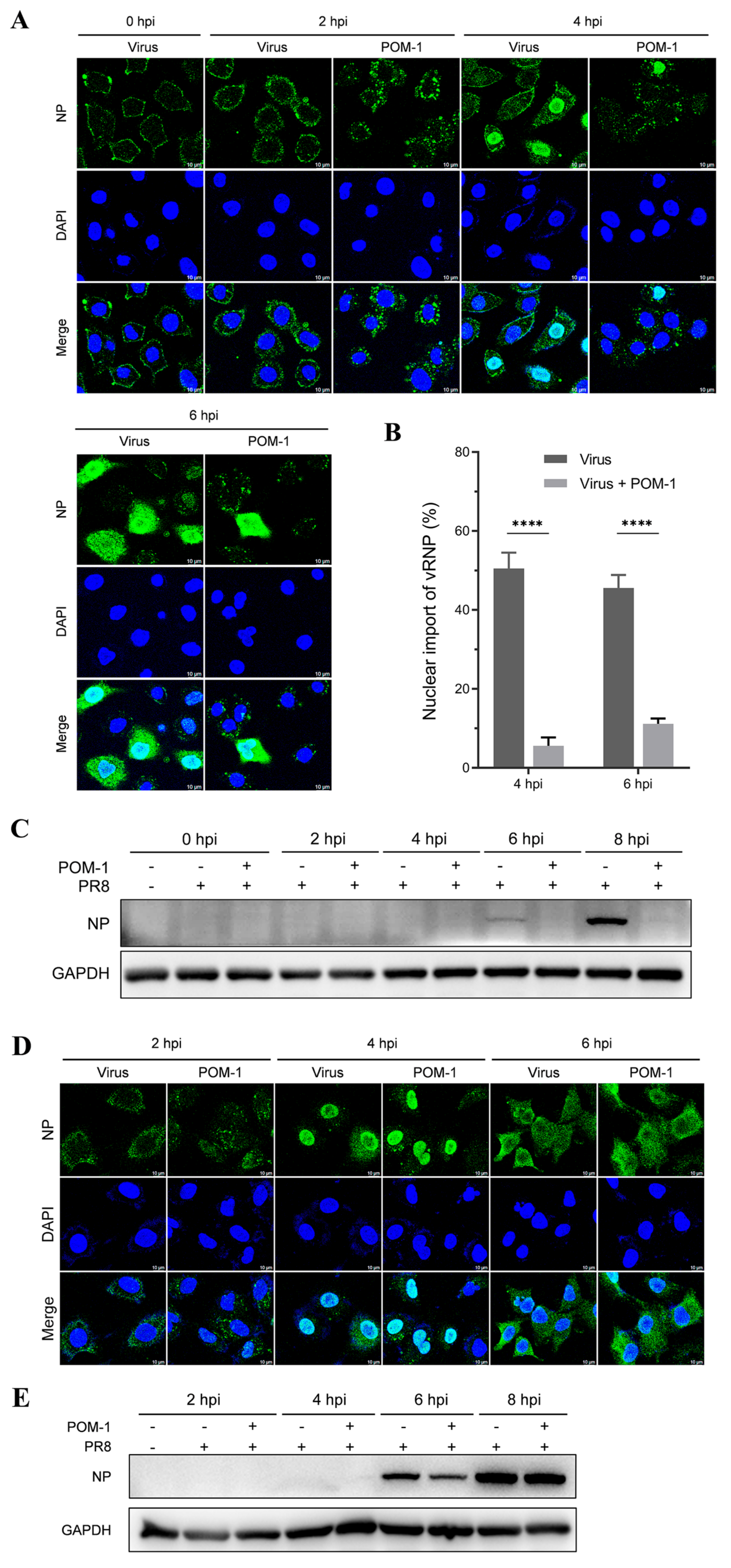 Microorganisms 12 01017 g005