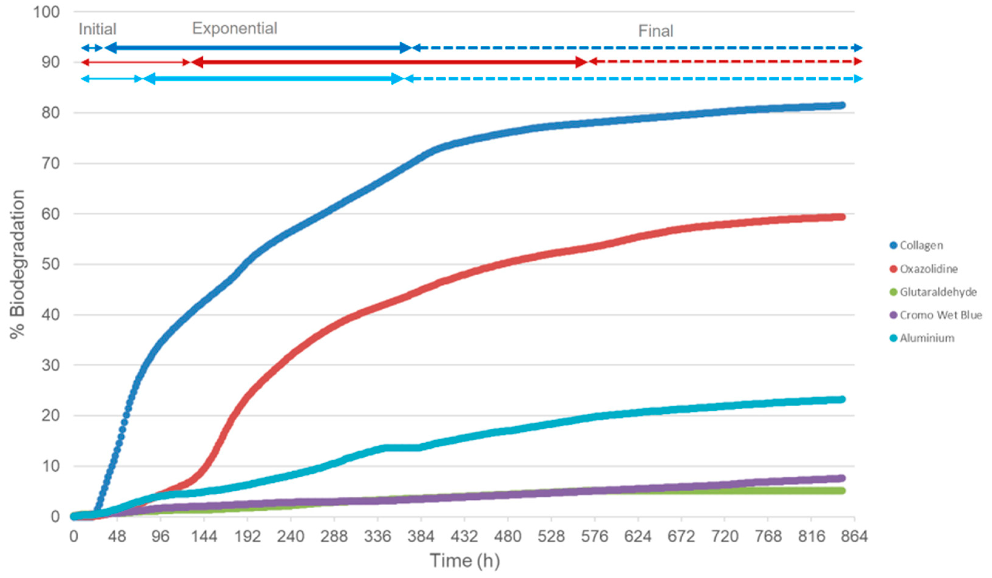 Microorganisms 12 01029 g003