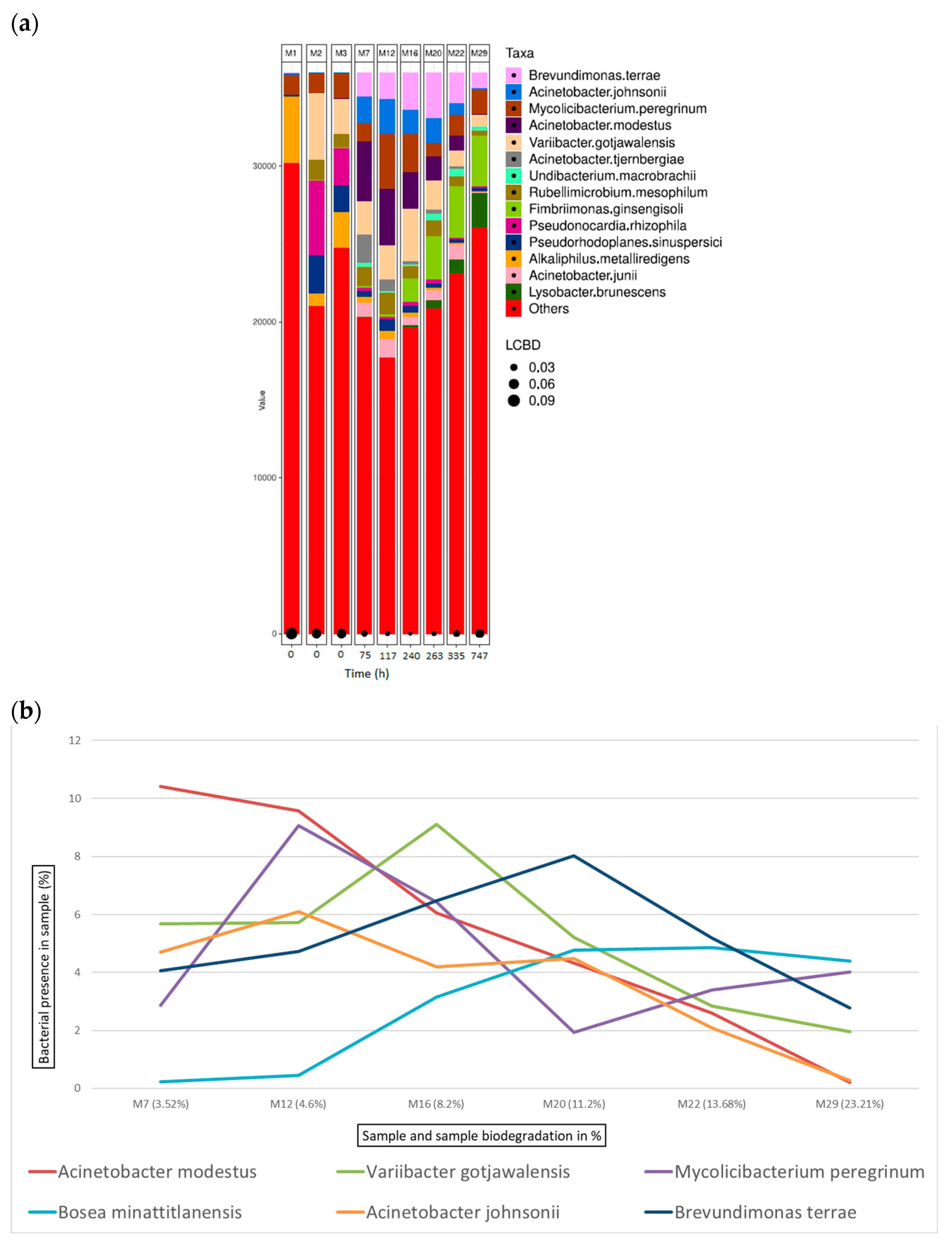 Microorganisms 12 01029 g010