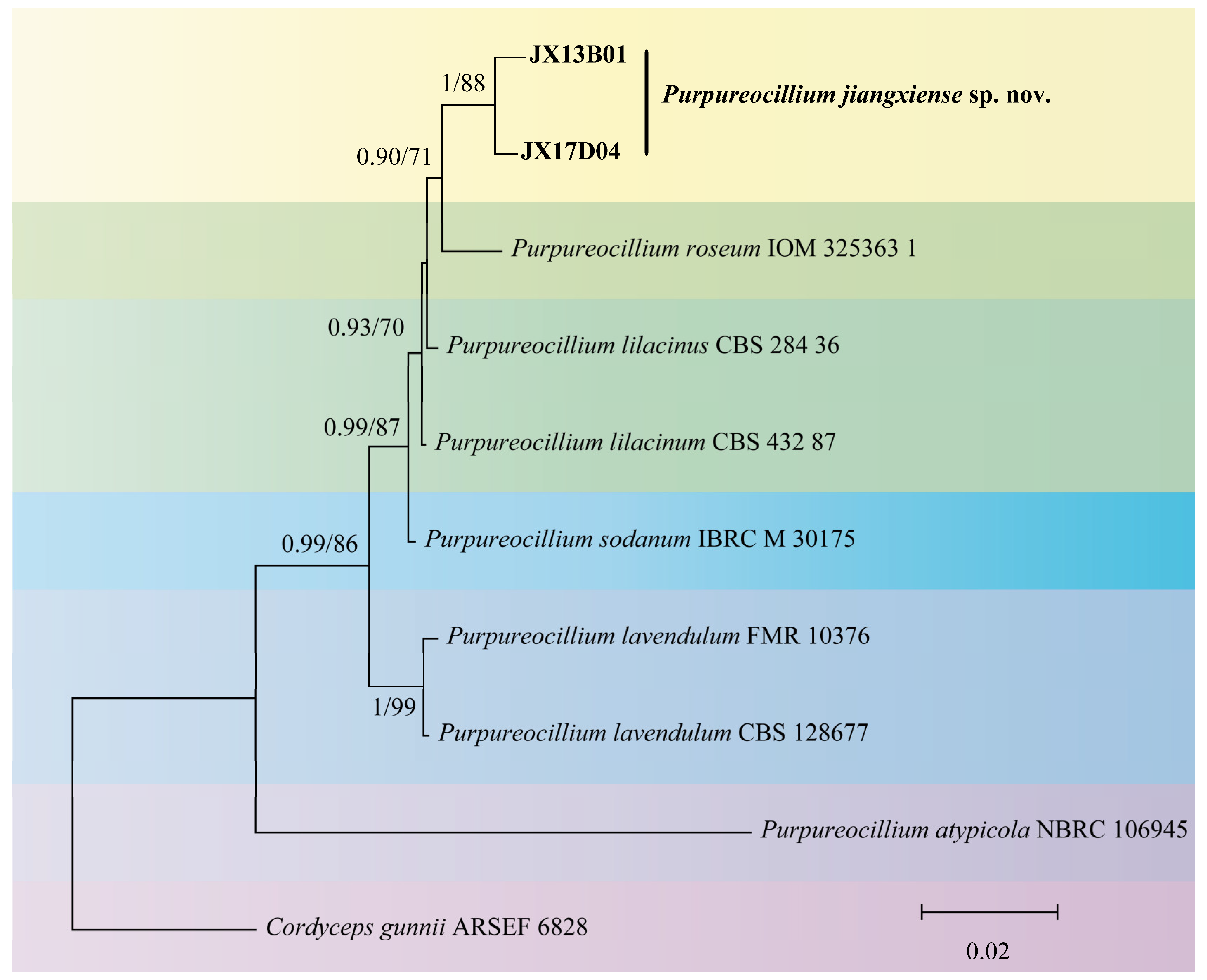 Microorganisms 12 01041 g002