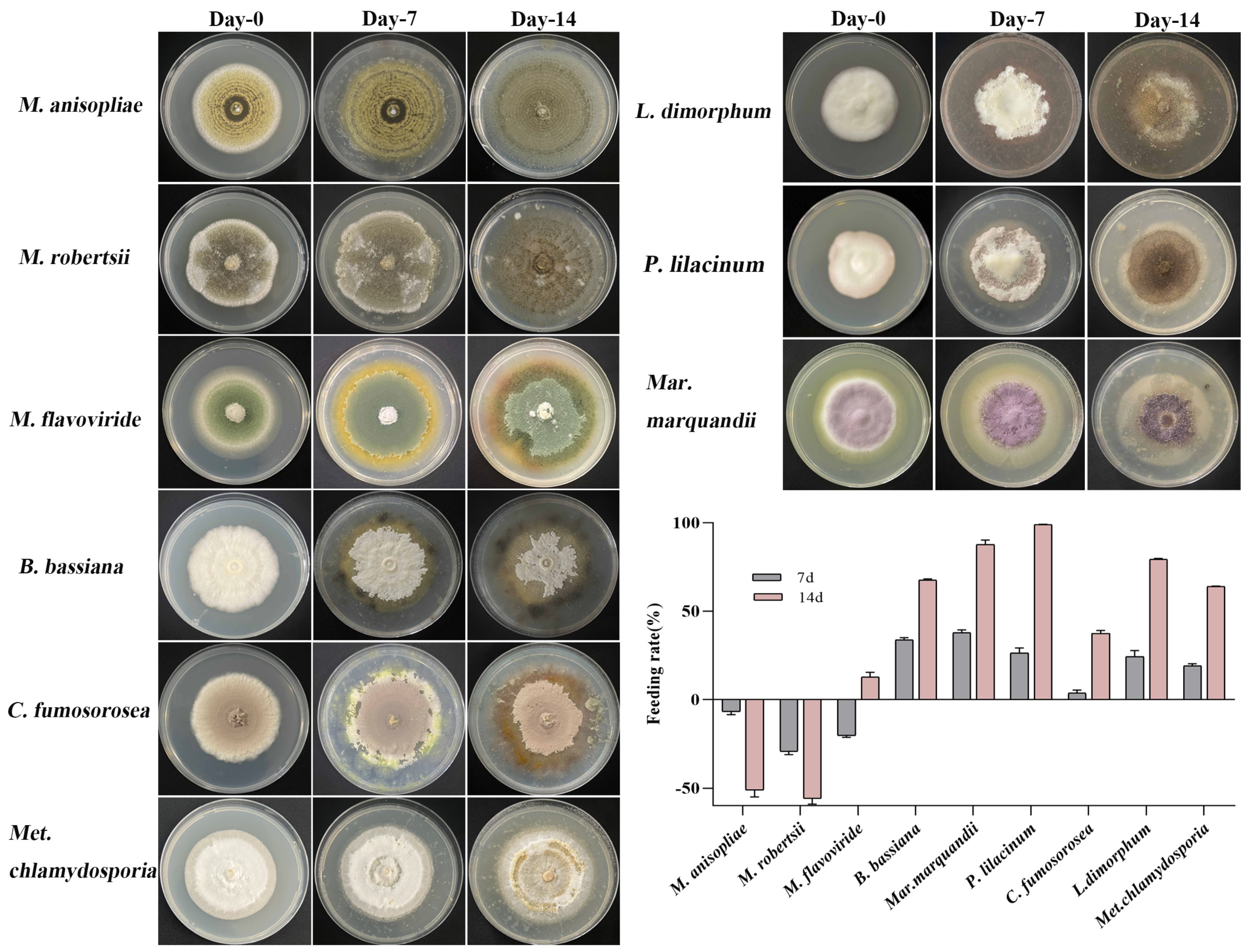 Microorganisms 12 01042 g001
