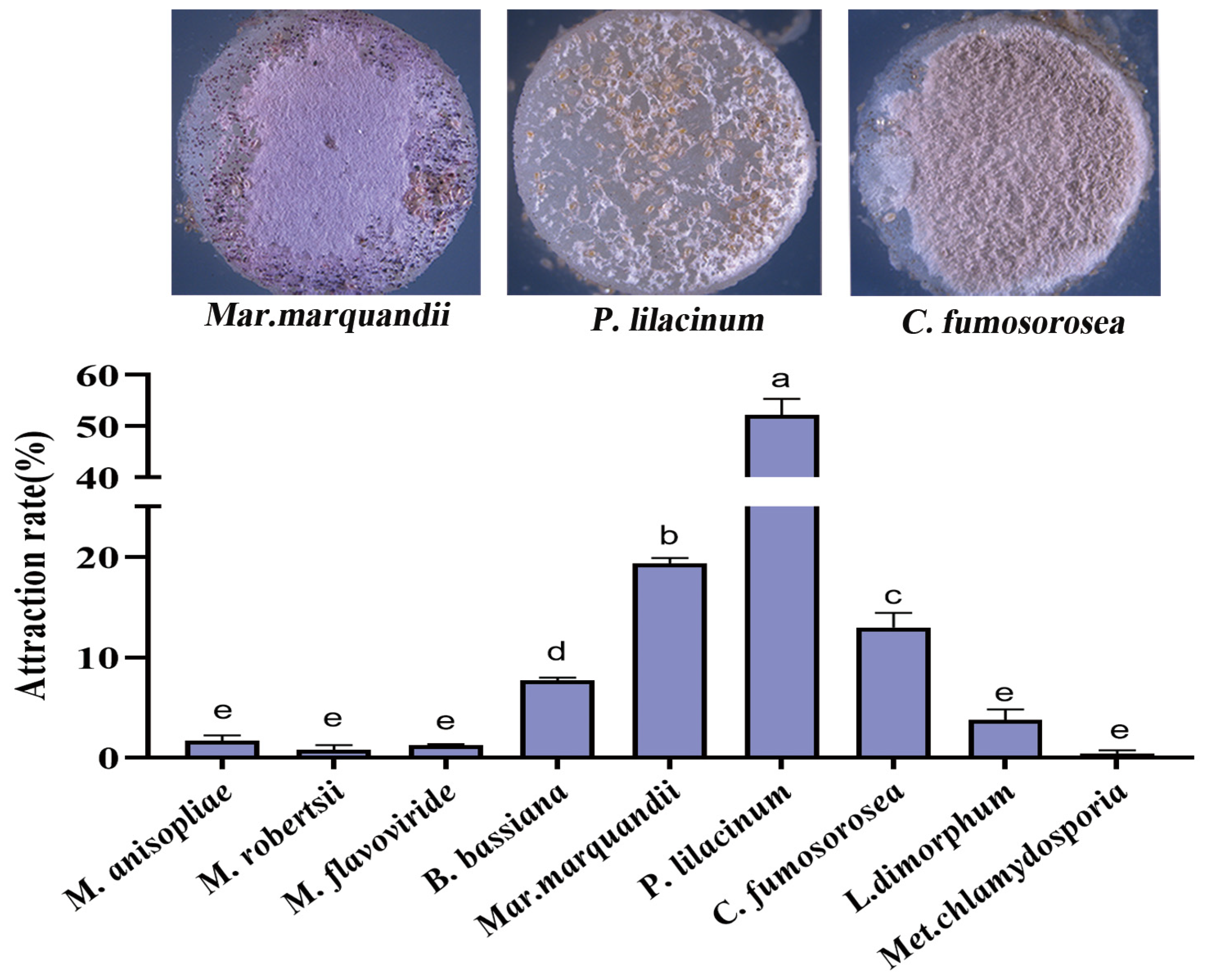 Microorganisms 12 01042 g003