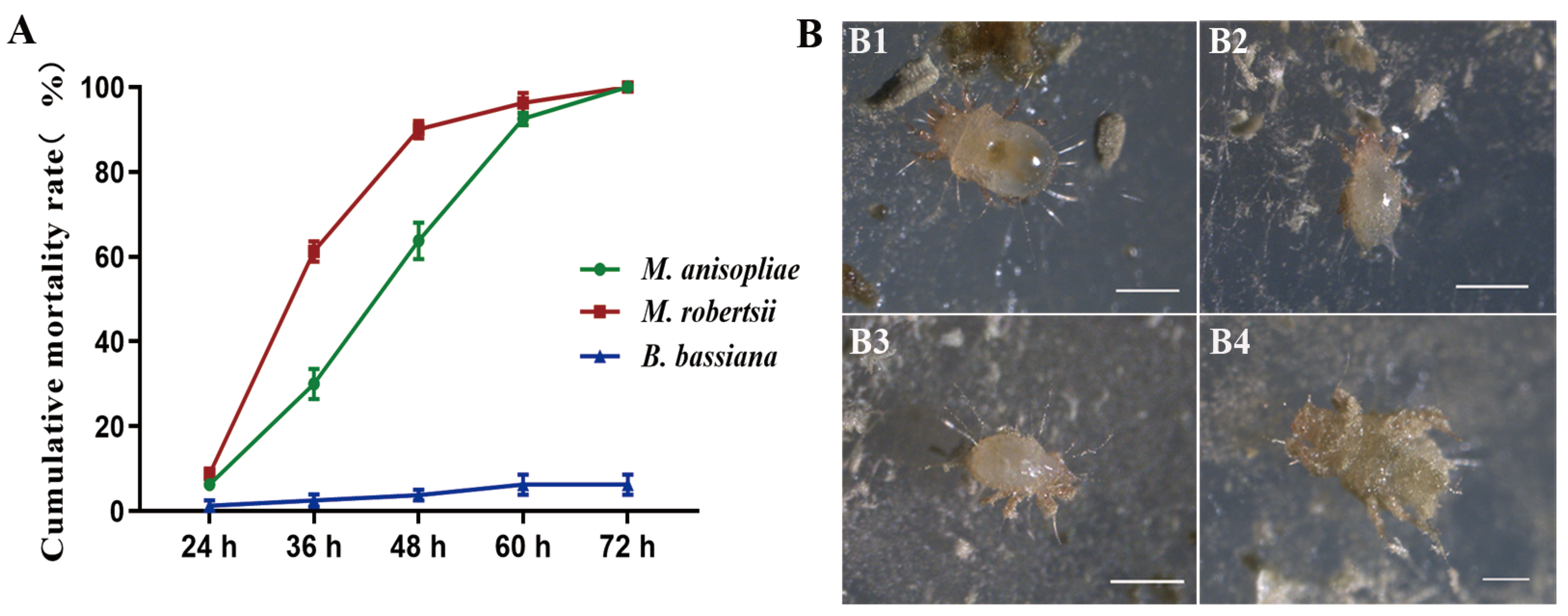 Microorganisms 12 01042 g005