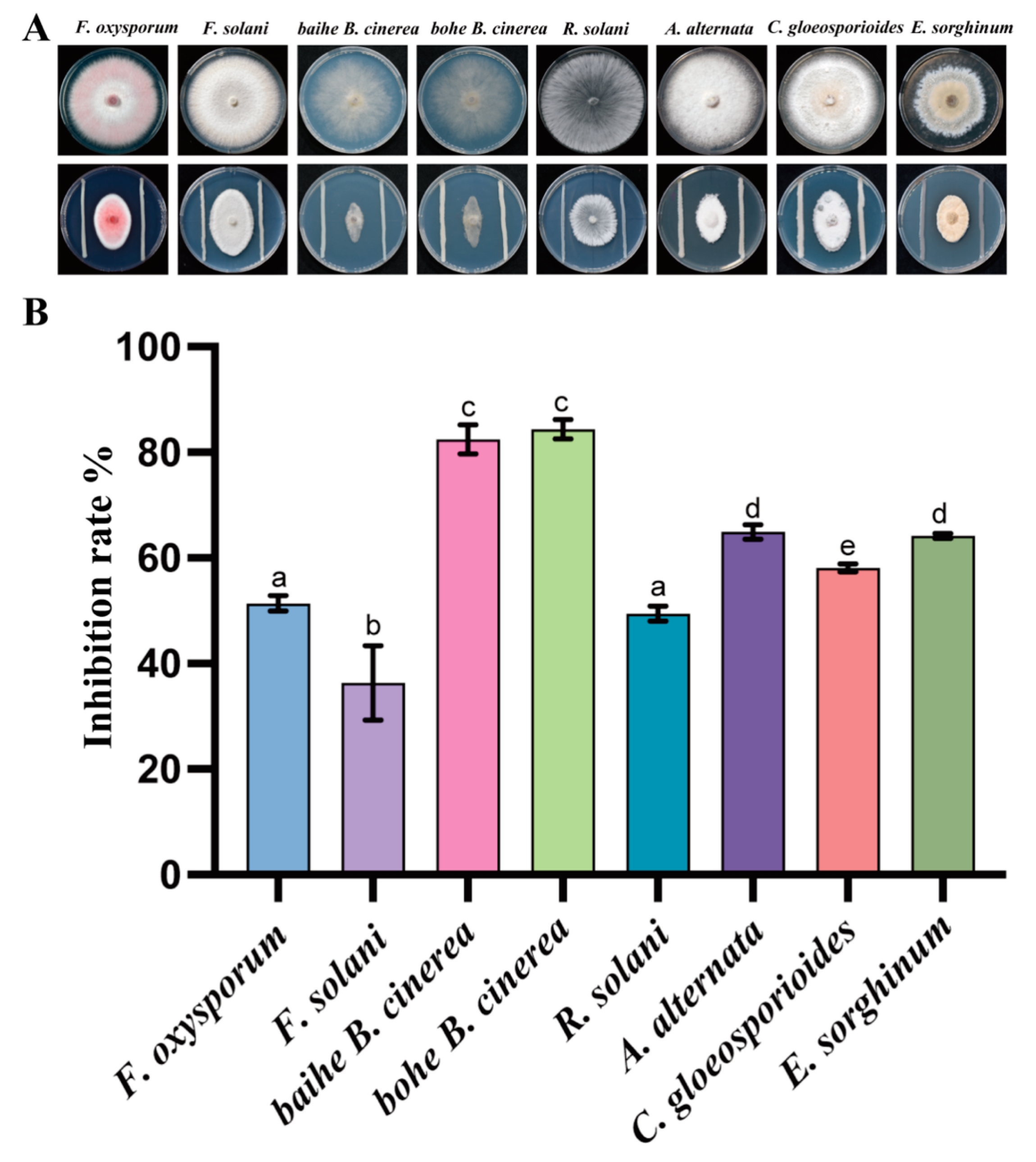 Microorganisms 12 01043 g001