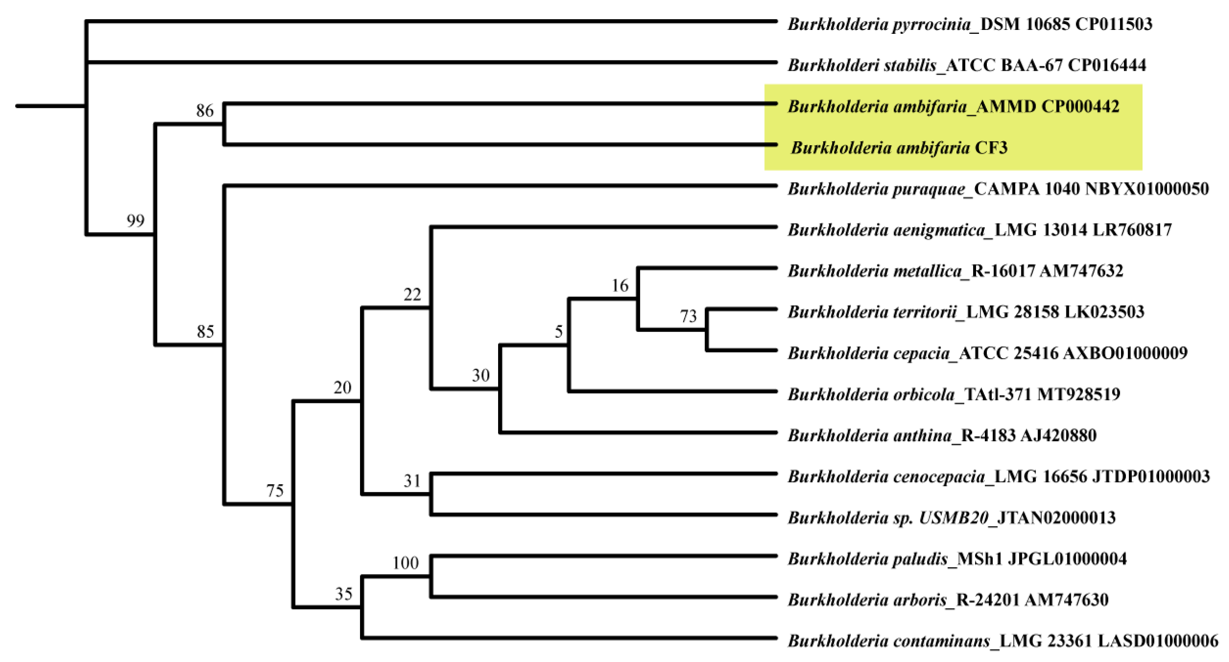 Microorganisms 12 01043 g005