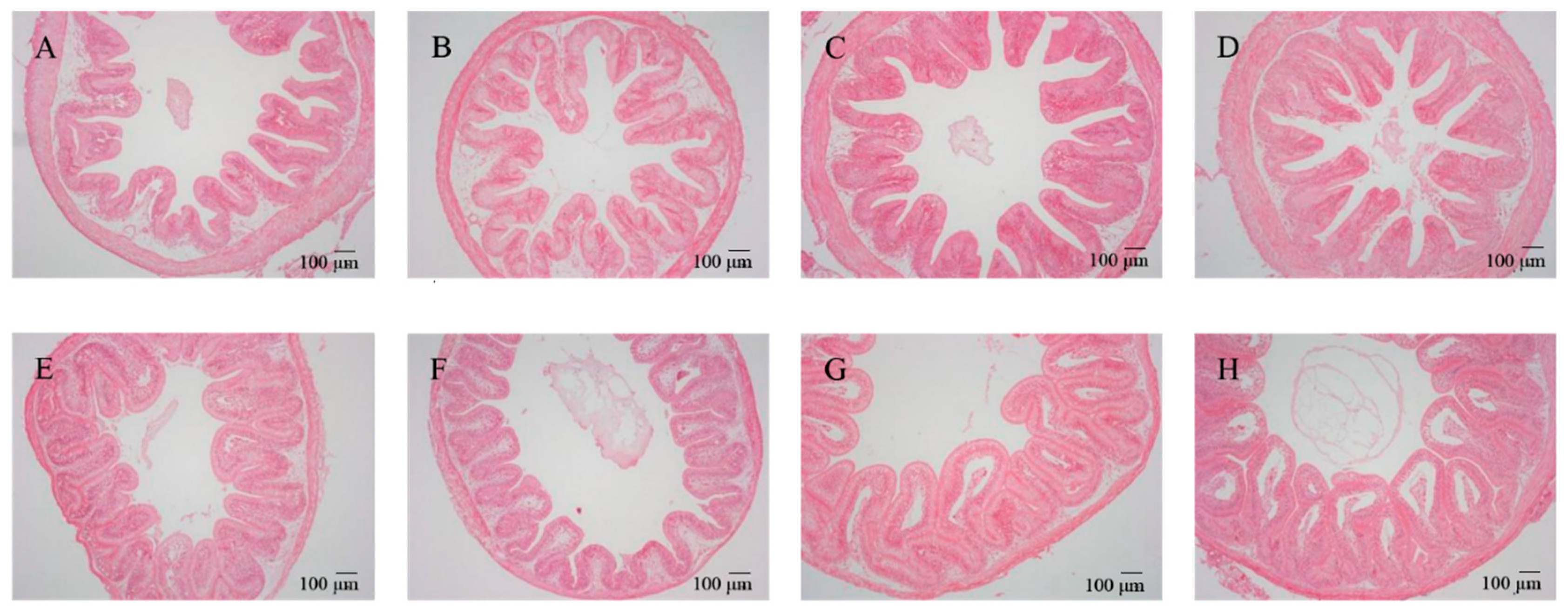 Microorganisms 12 01049 g001