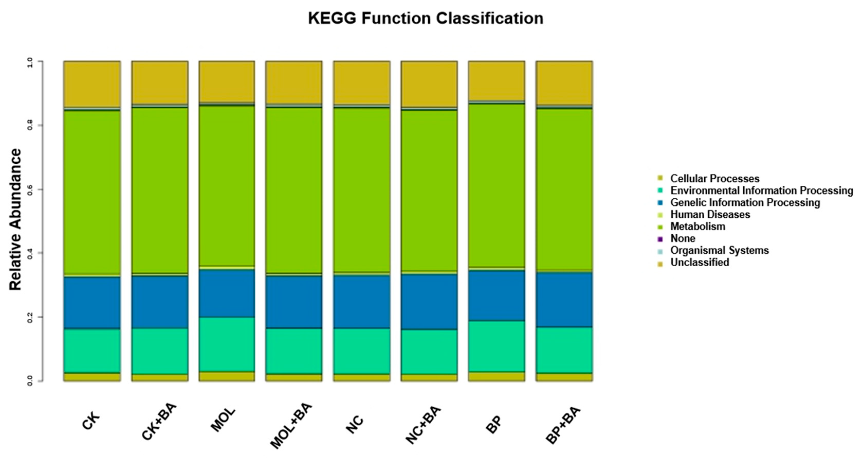 Microorganisms 12 01049 g004