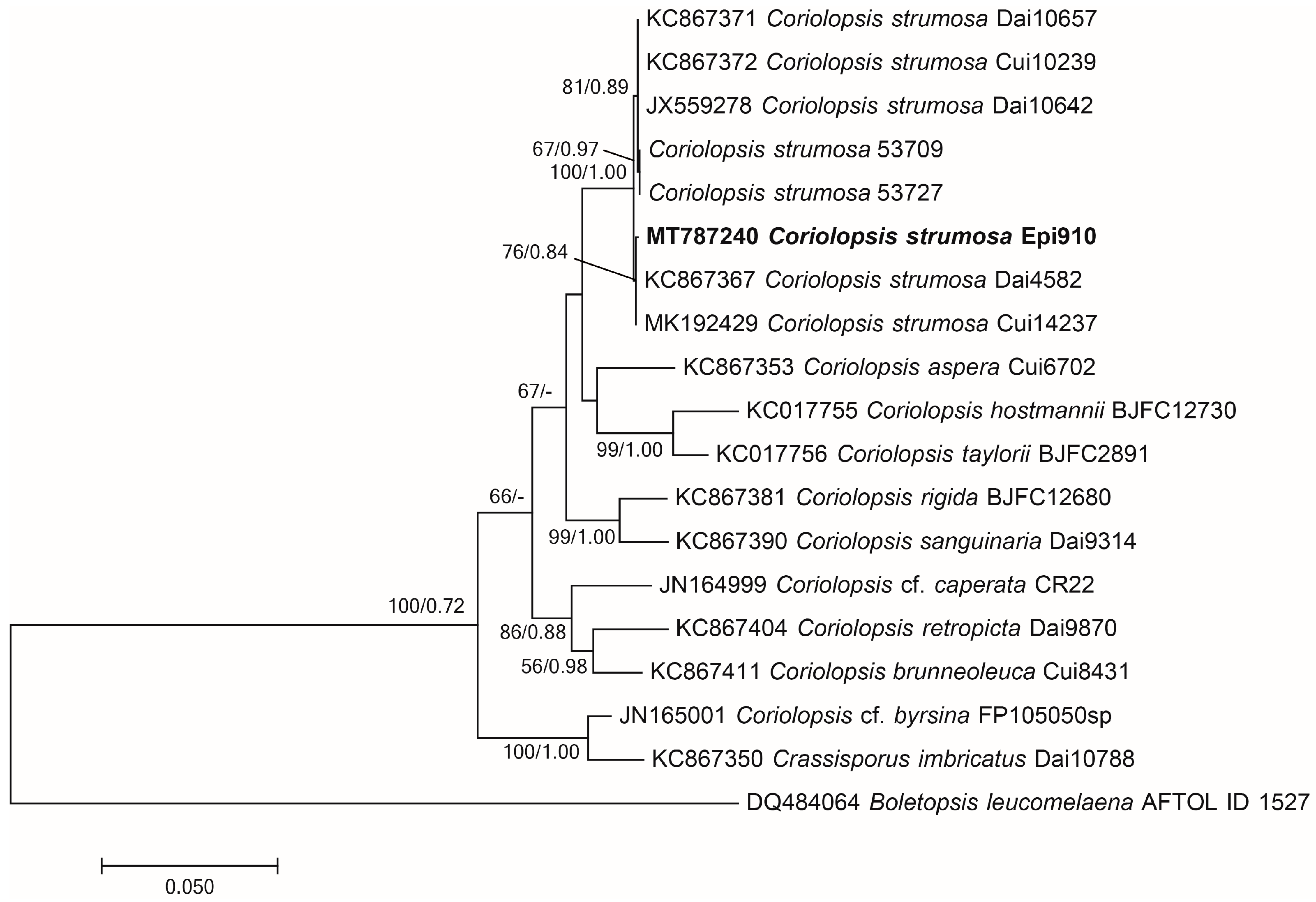 Microorganisms 12 01054 g001