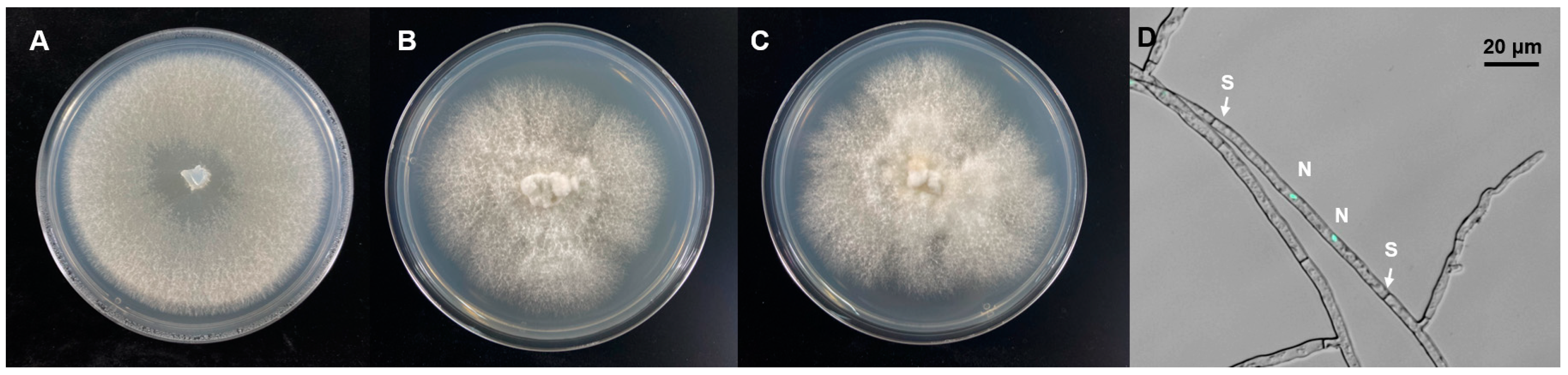 Microorganisms 12 01054 g002