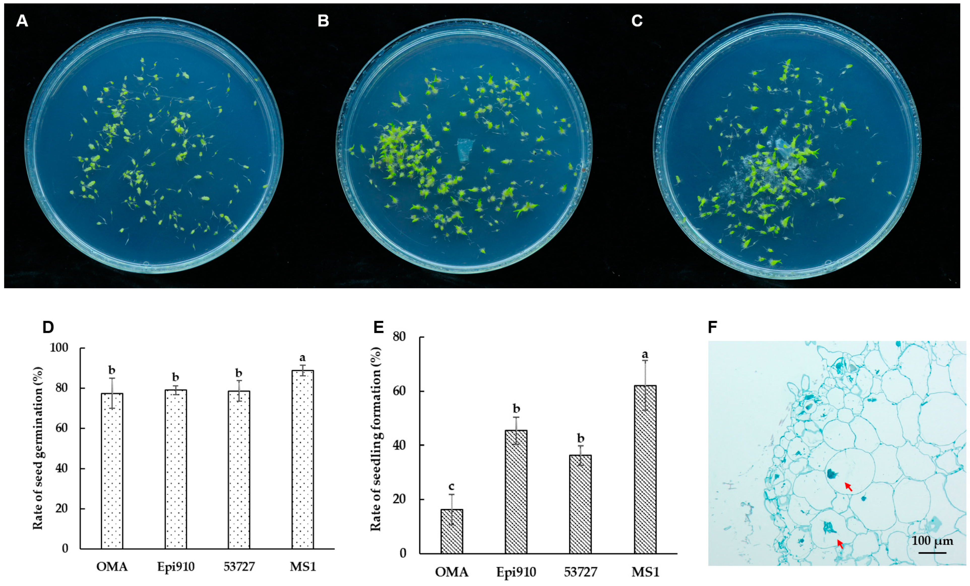 Microorganisms 12 01054 g003
