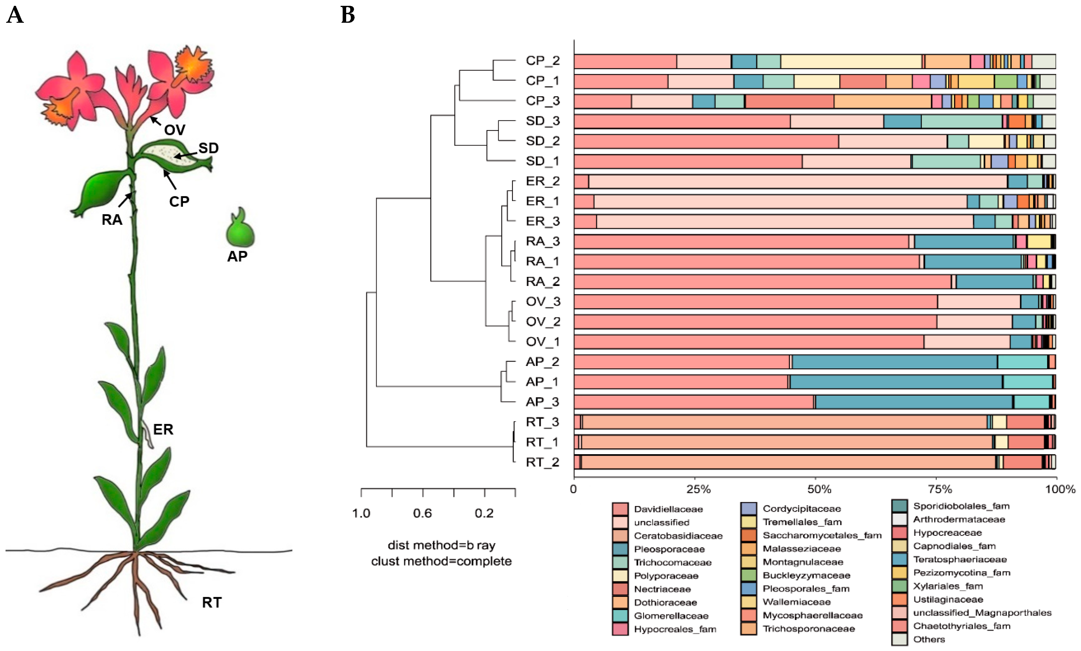 Microorganisms 12 01054 g004