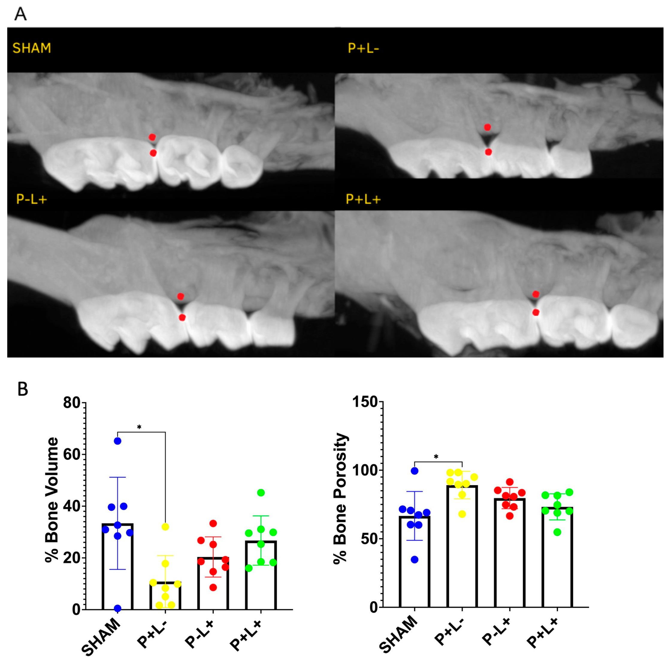 Microorganisms 12 01057 g001