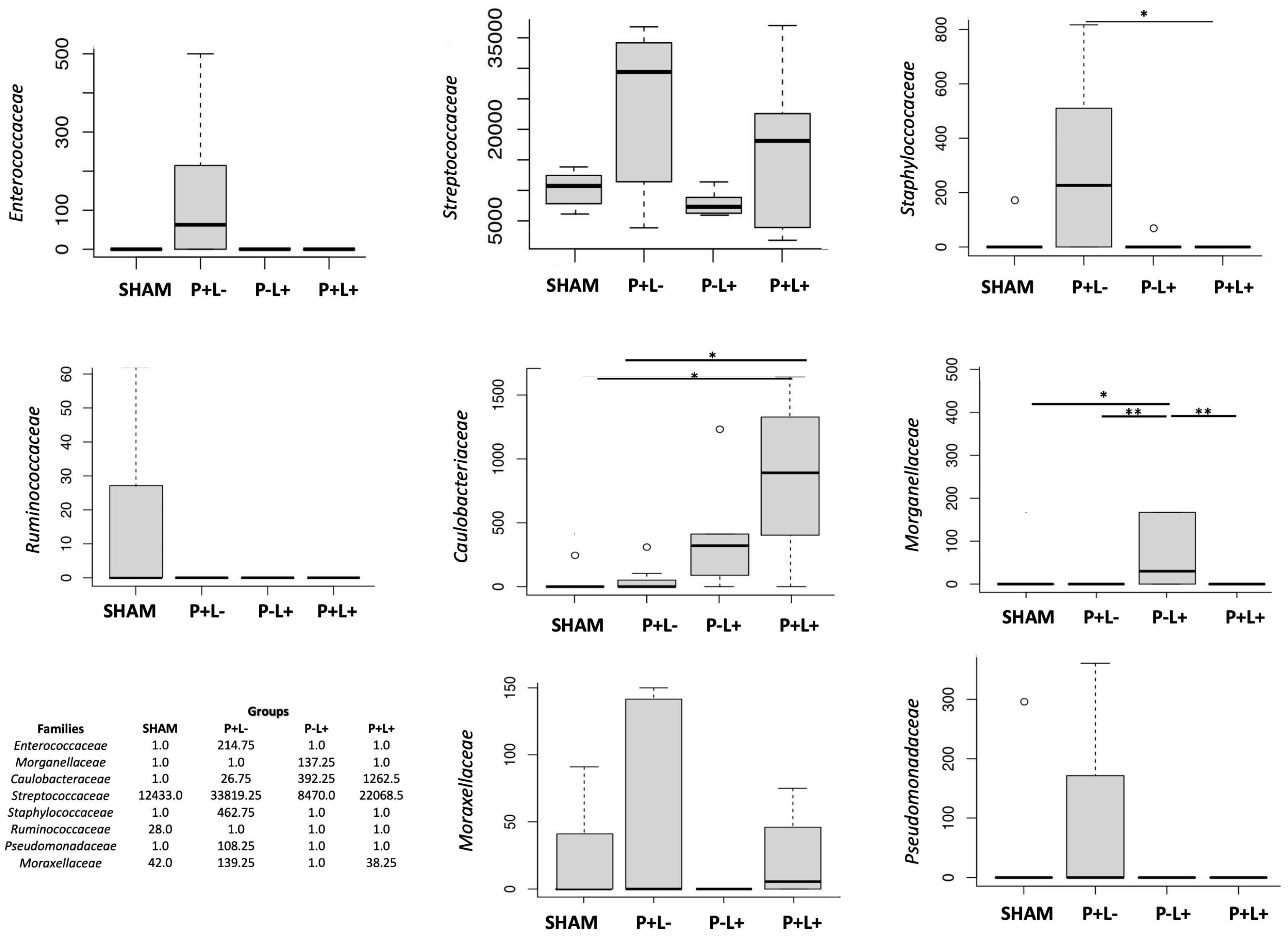 Microorganisms 12 01057 g007