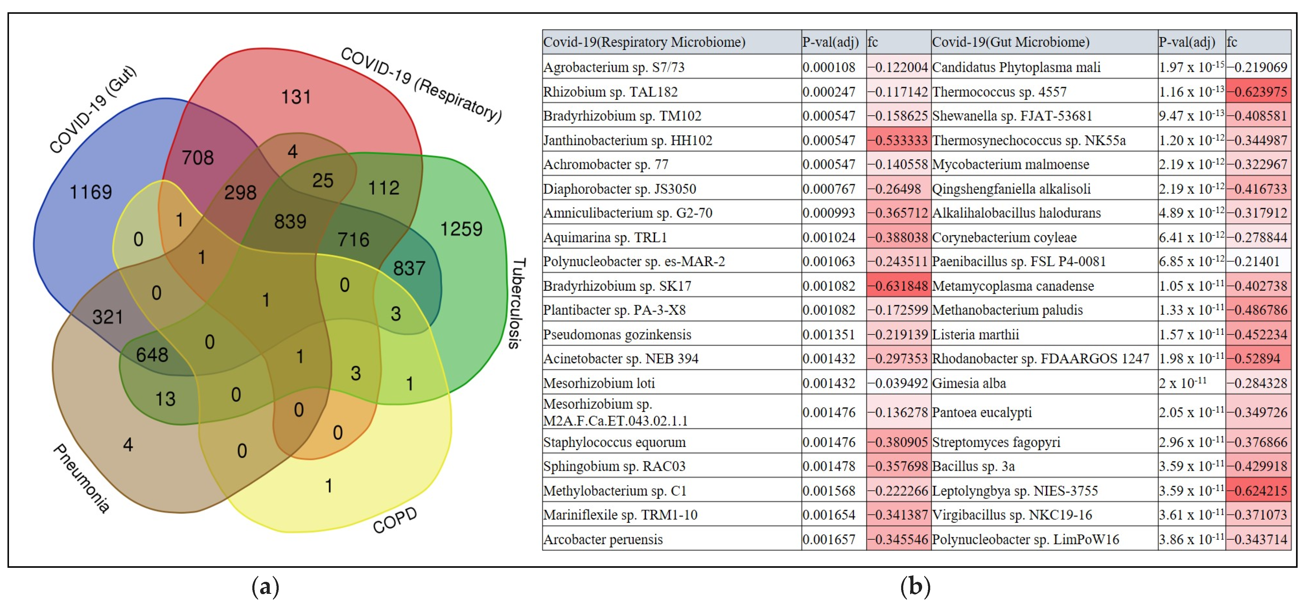 Microorganisms 12 01058 g004