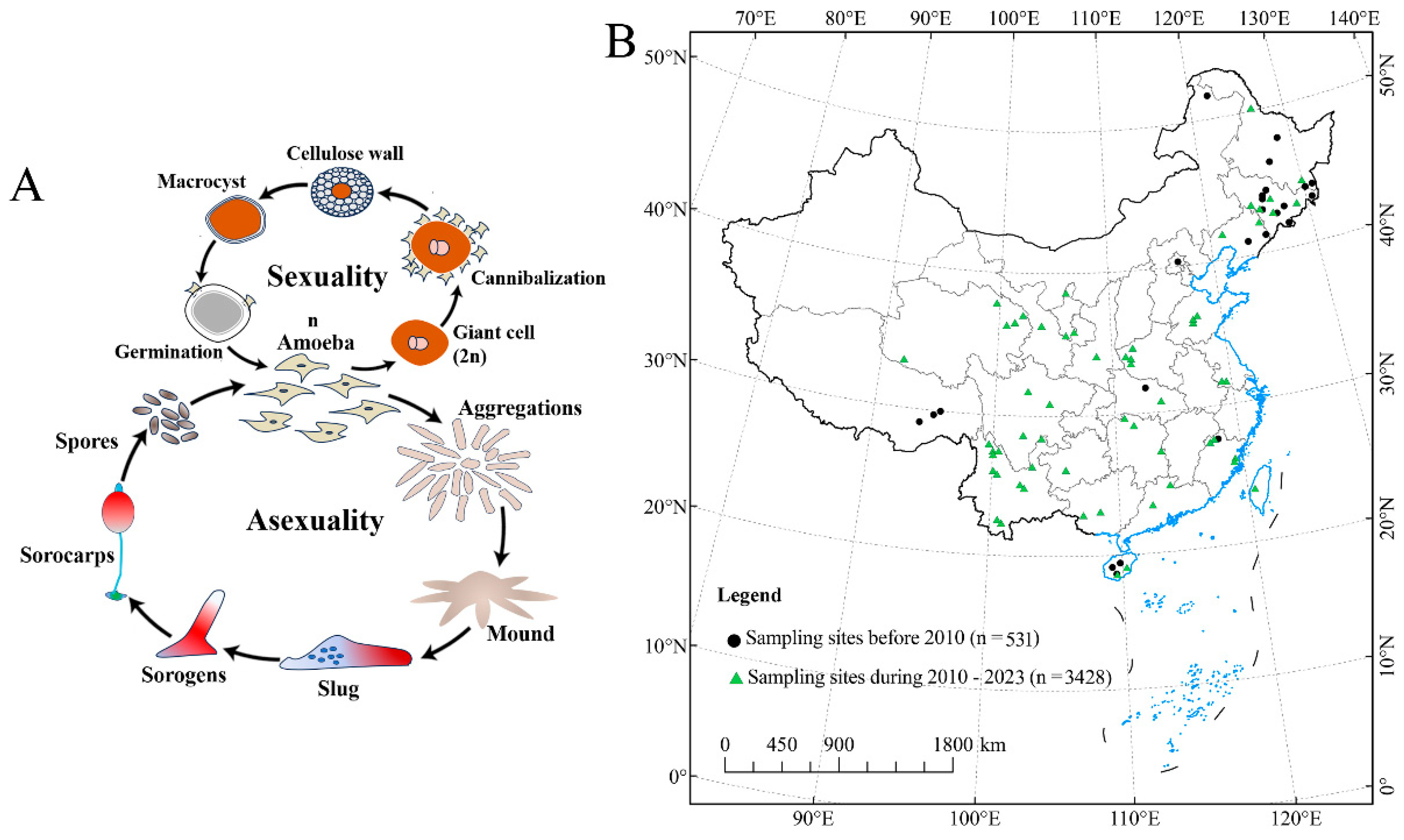 Microorganisms 12 01061 g001