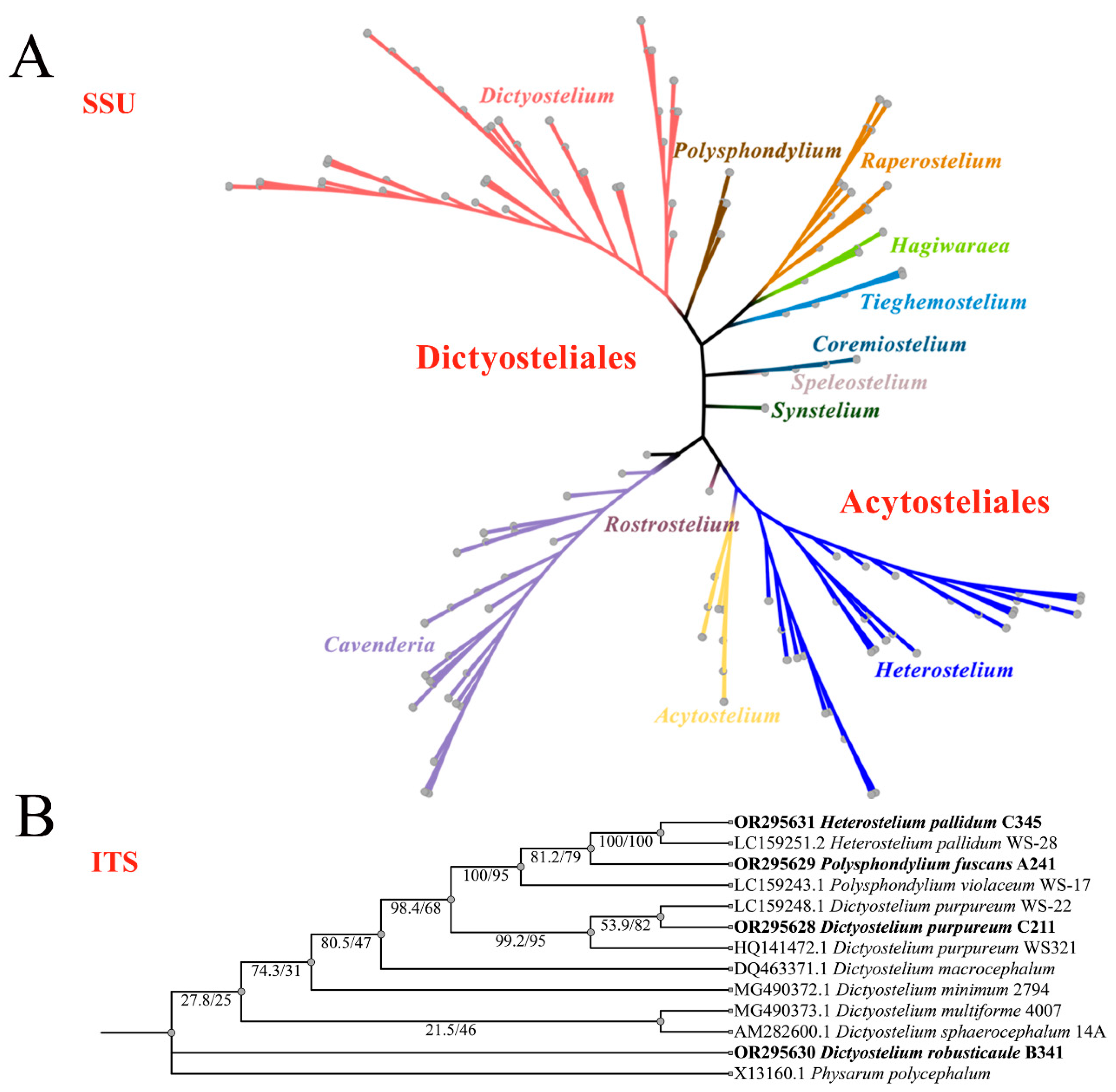 Microorganisms 12 01061 g009