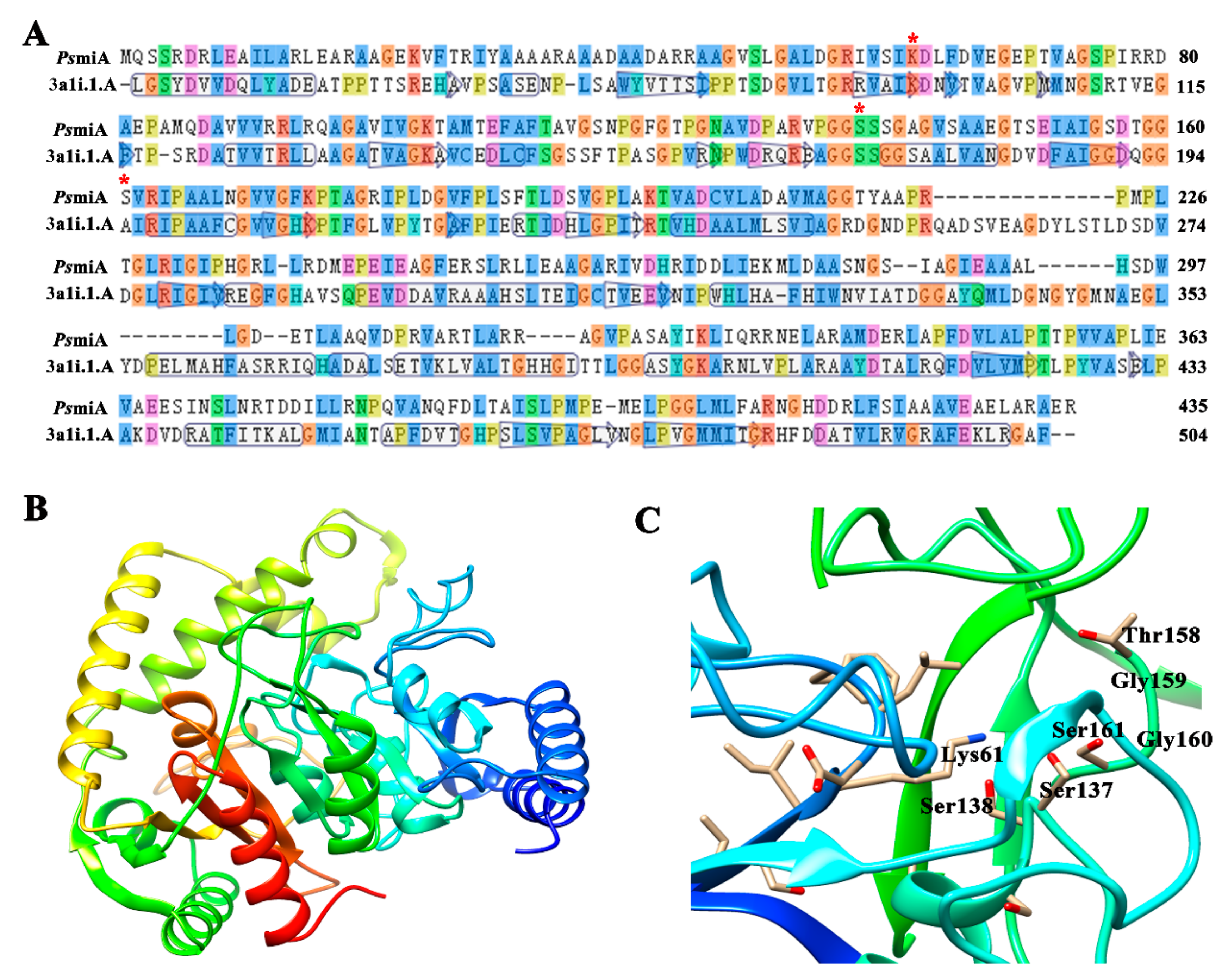 Microorganisms 12 01063 g005
