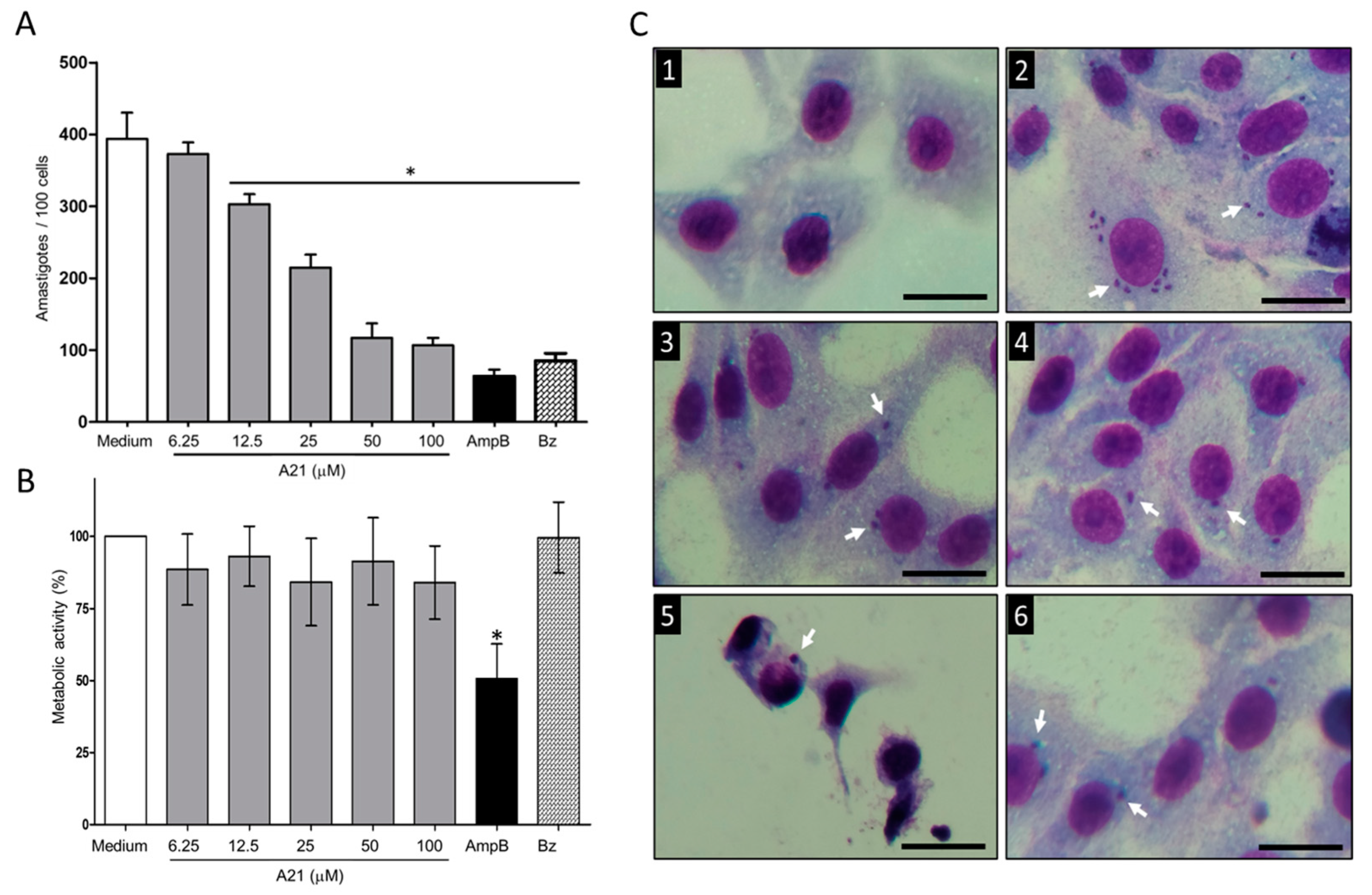 Microorganisms 12 01064 g002