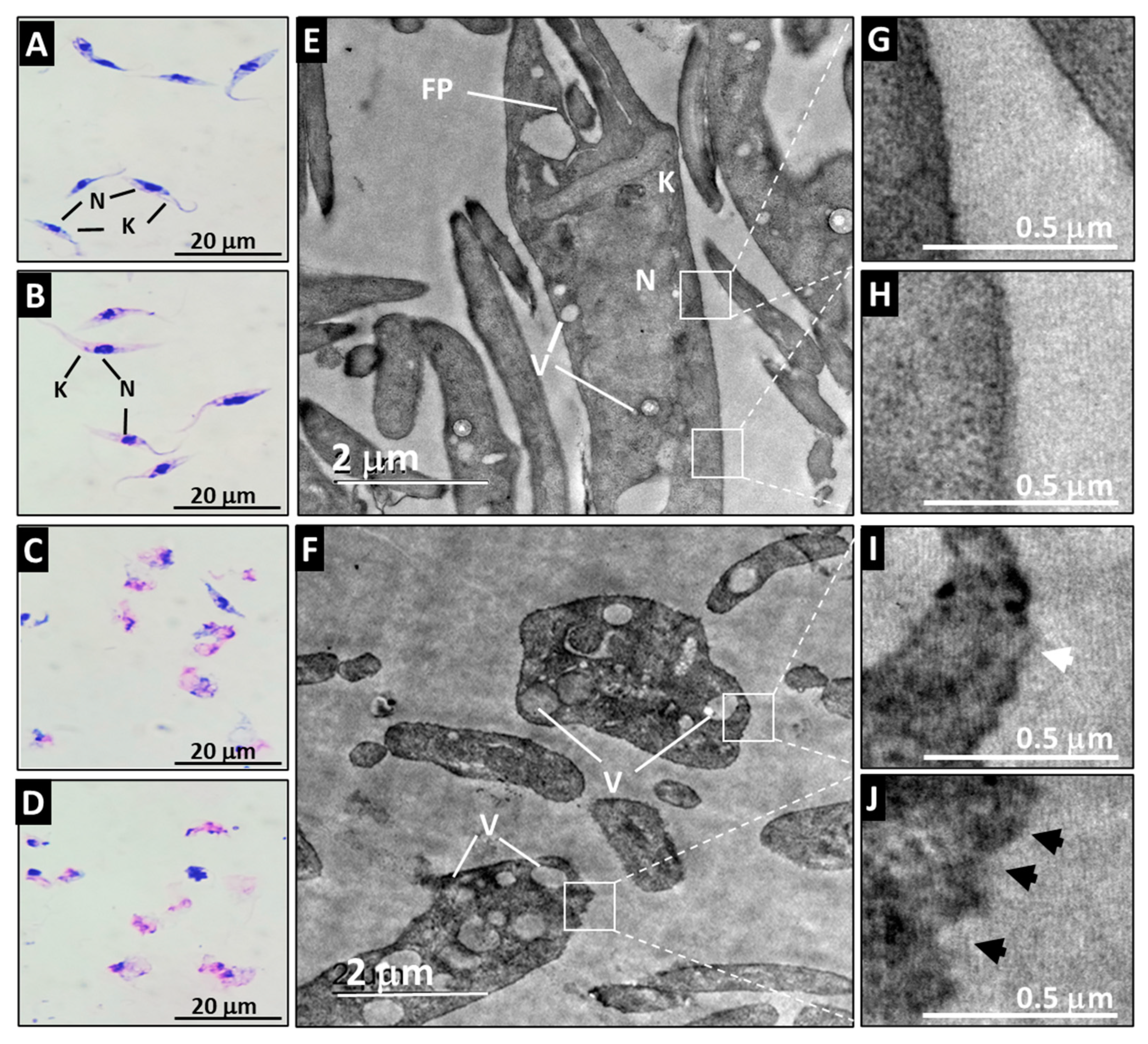 Microorganisms 12 01064 g003