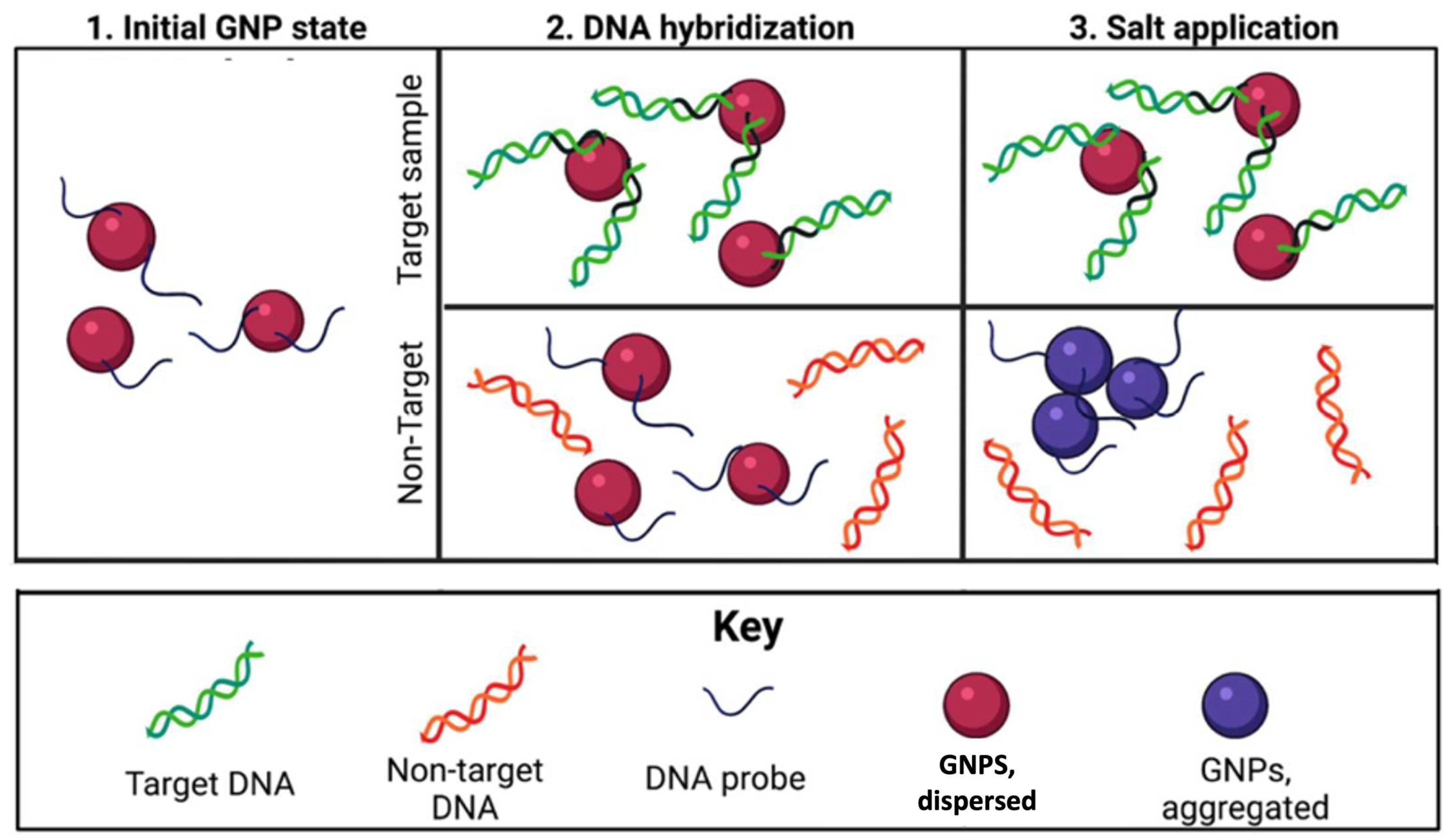Microorganisms 12 01069 g001