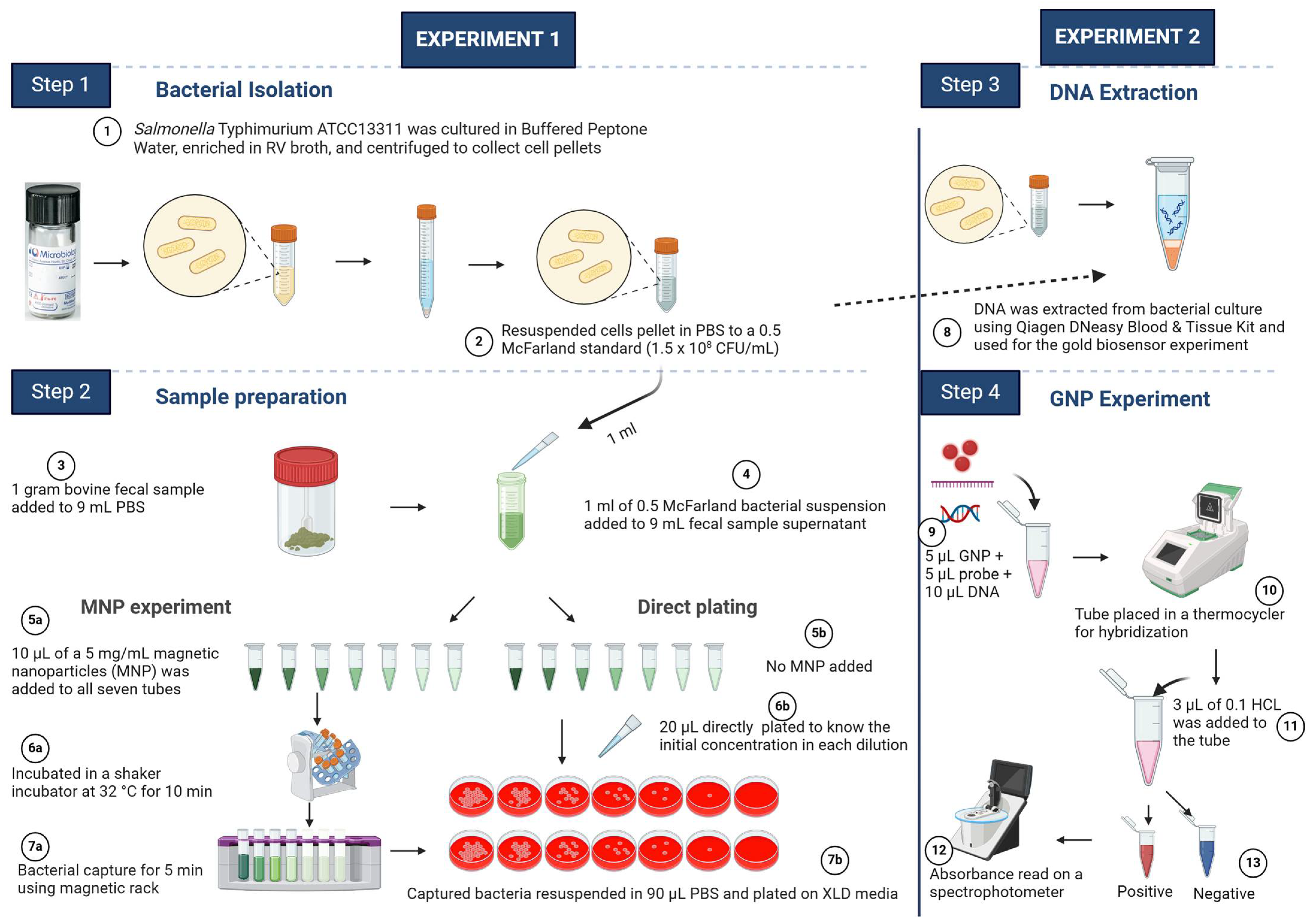 Microorganisms 12 01069 g002