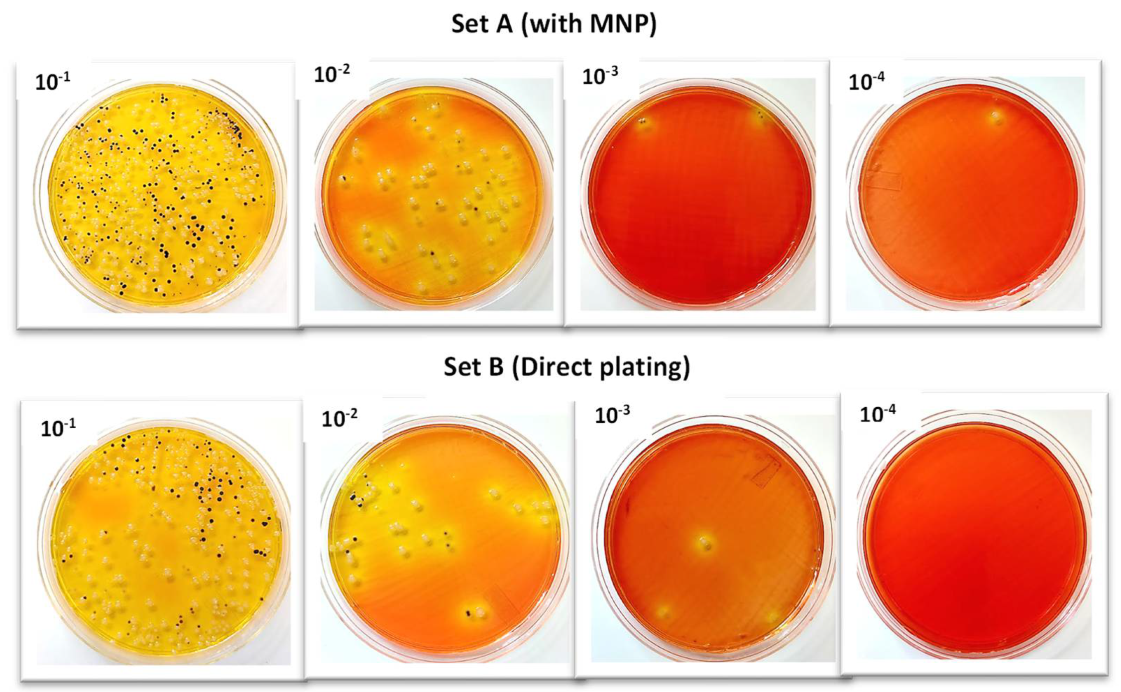 Microorganisms 12 01069 g004