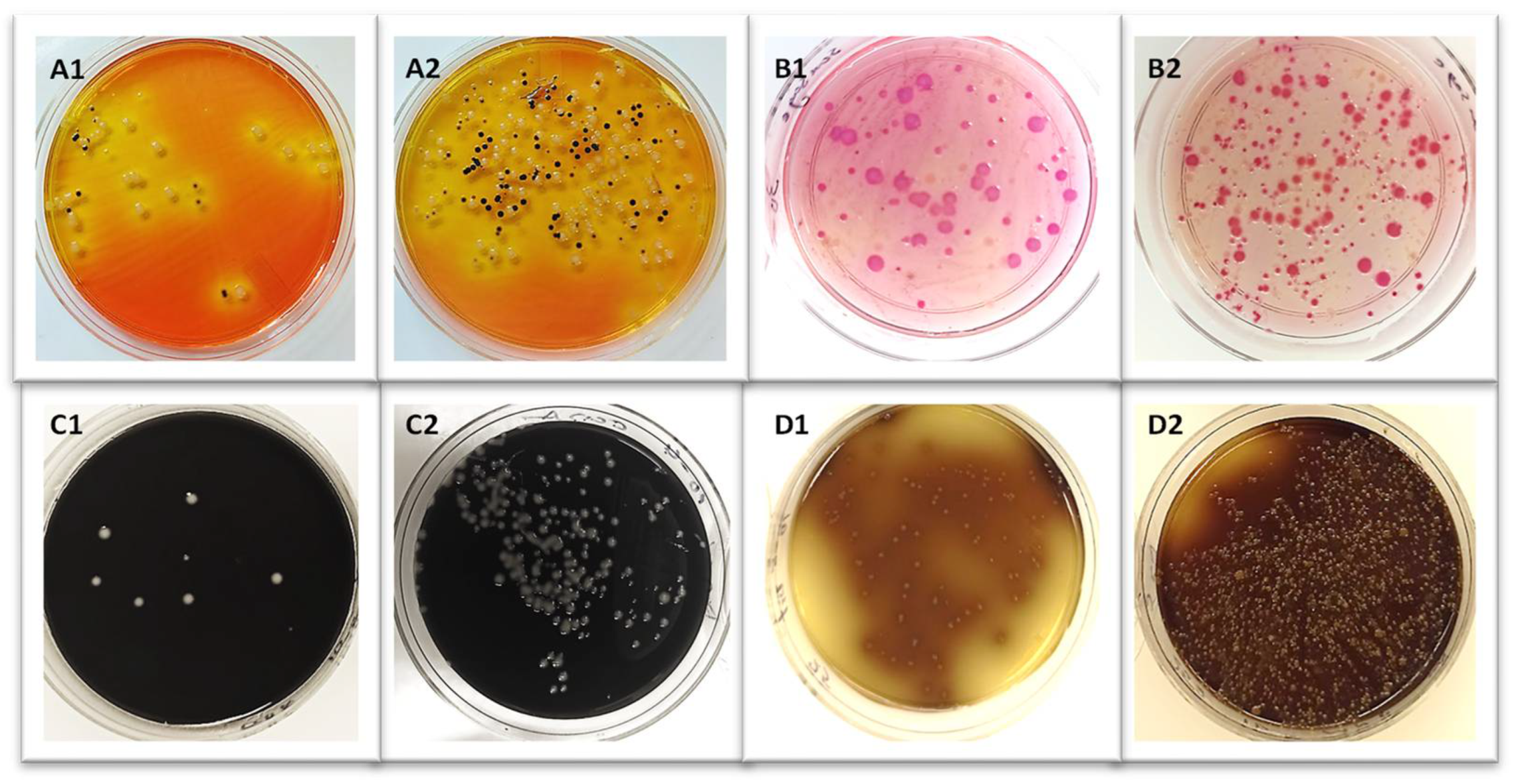 Microorganisms 12 01069 g007