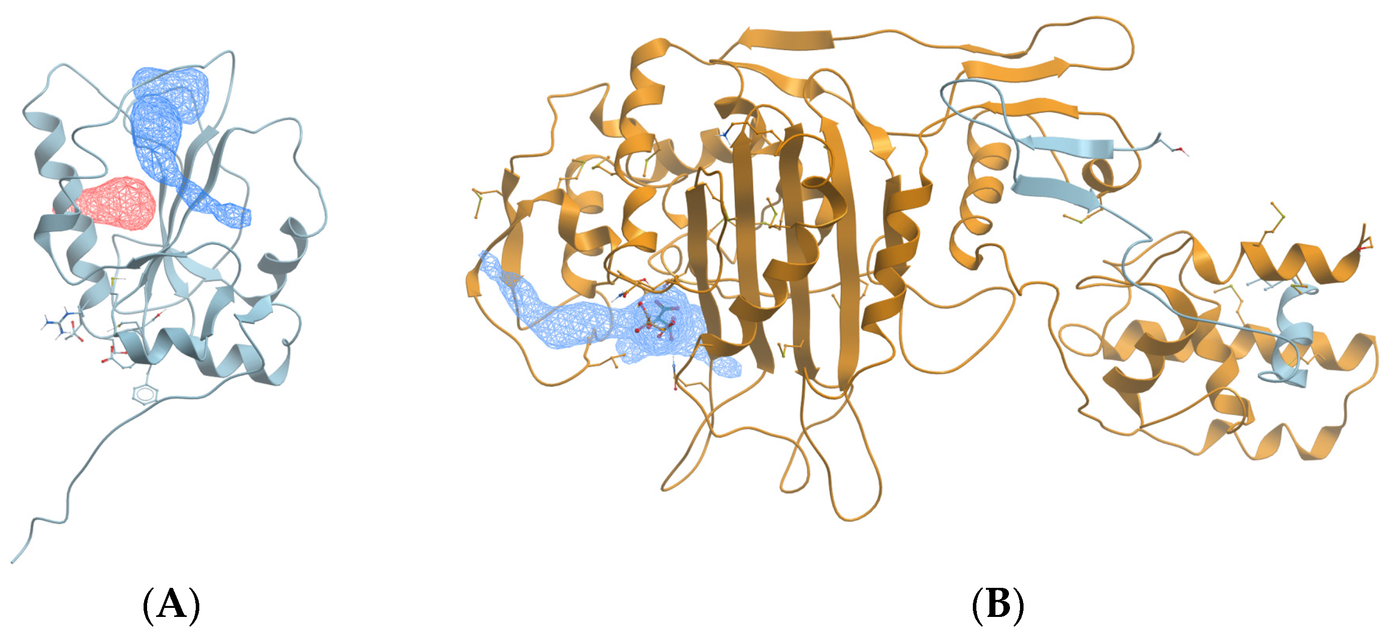 Microorganisms 12 01073 g001