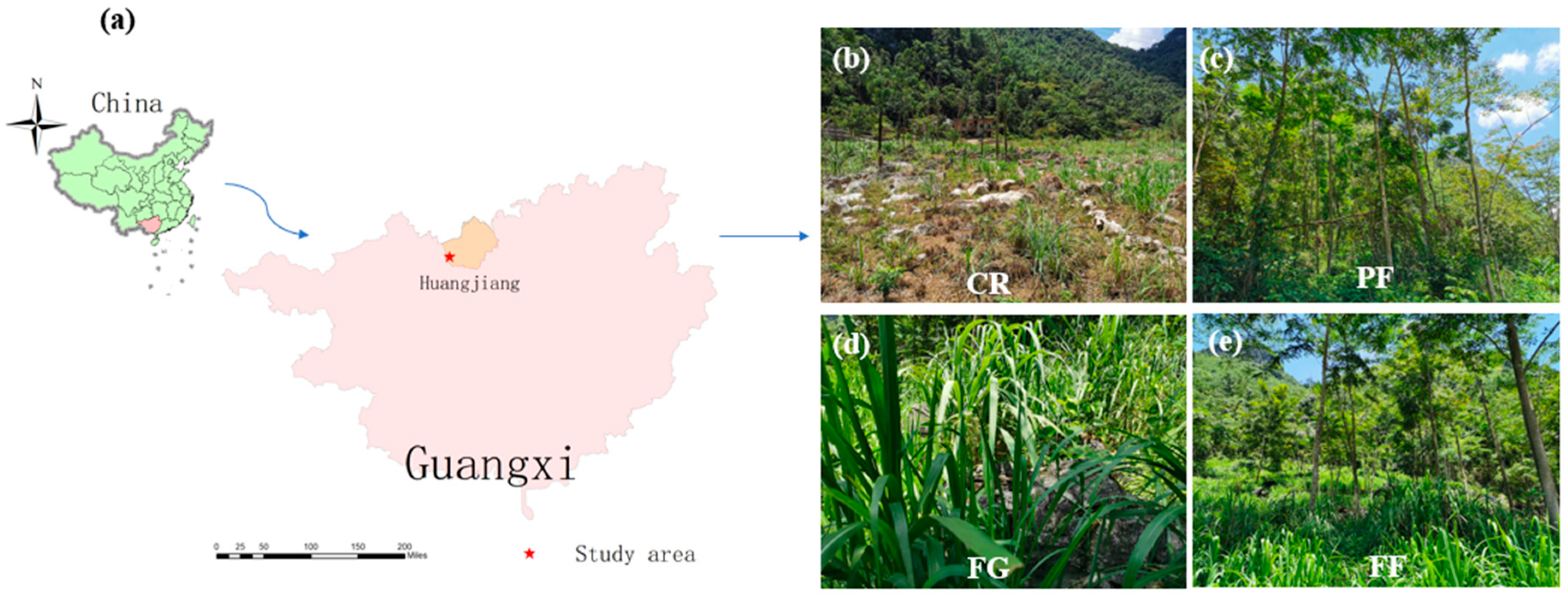 Microorganisms 12 01074 g001
