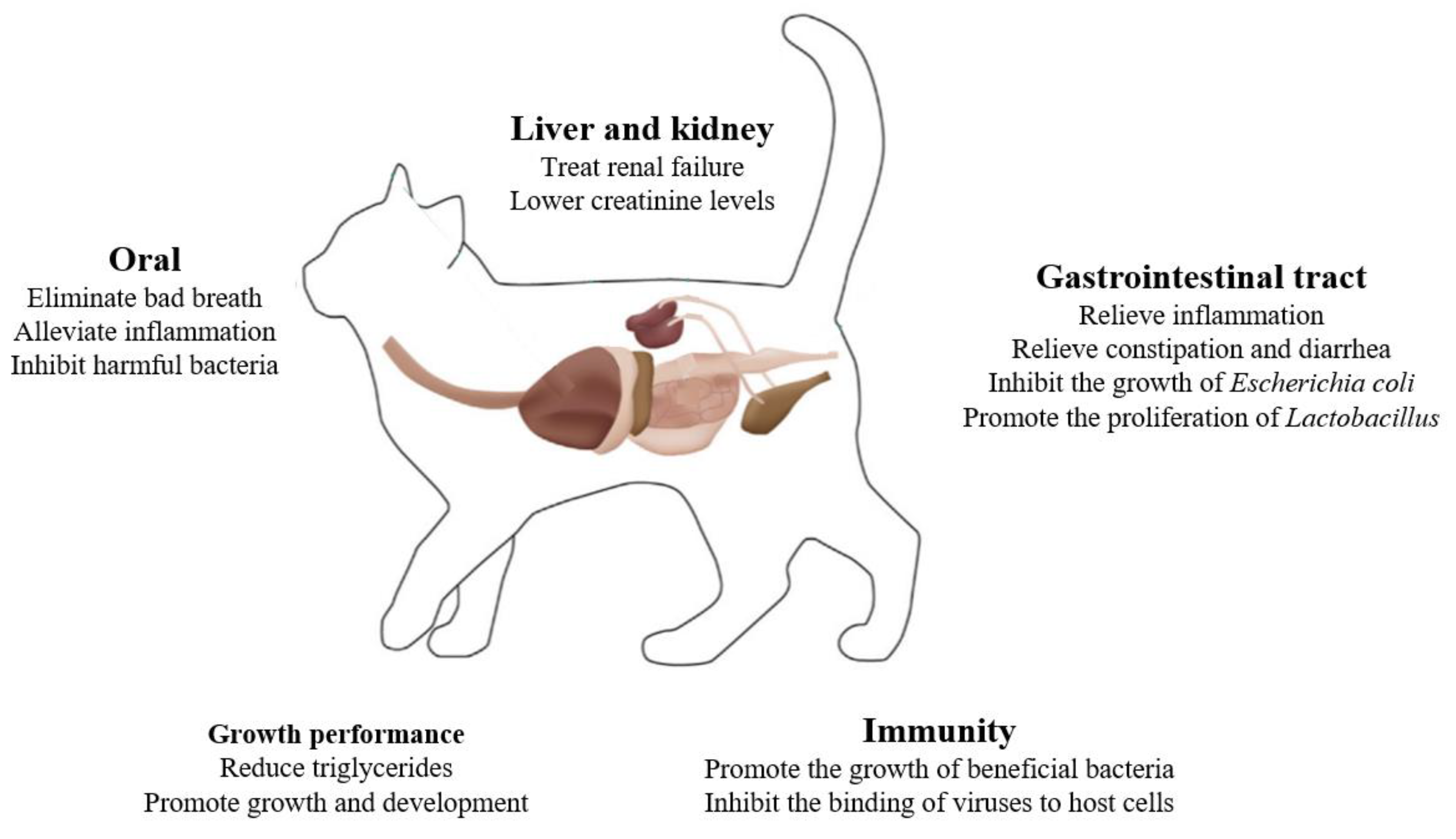 Microorganisms 12 01080 g001