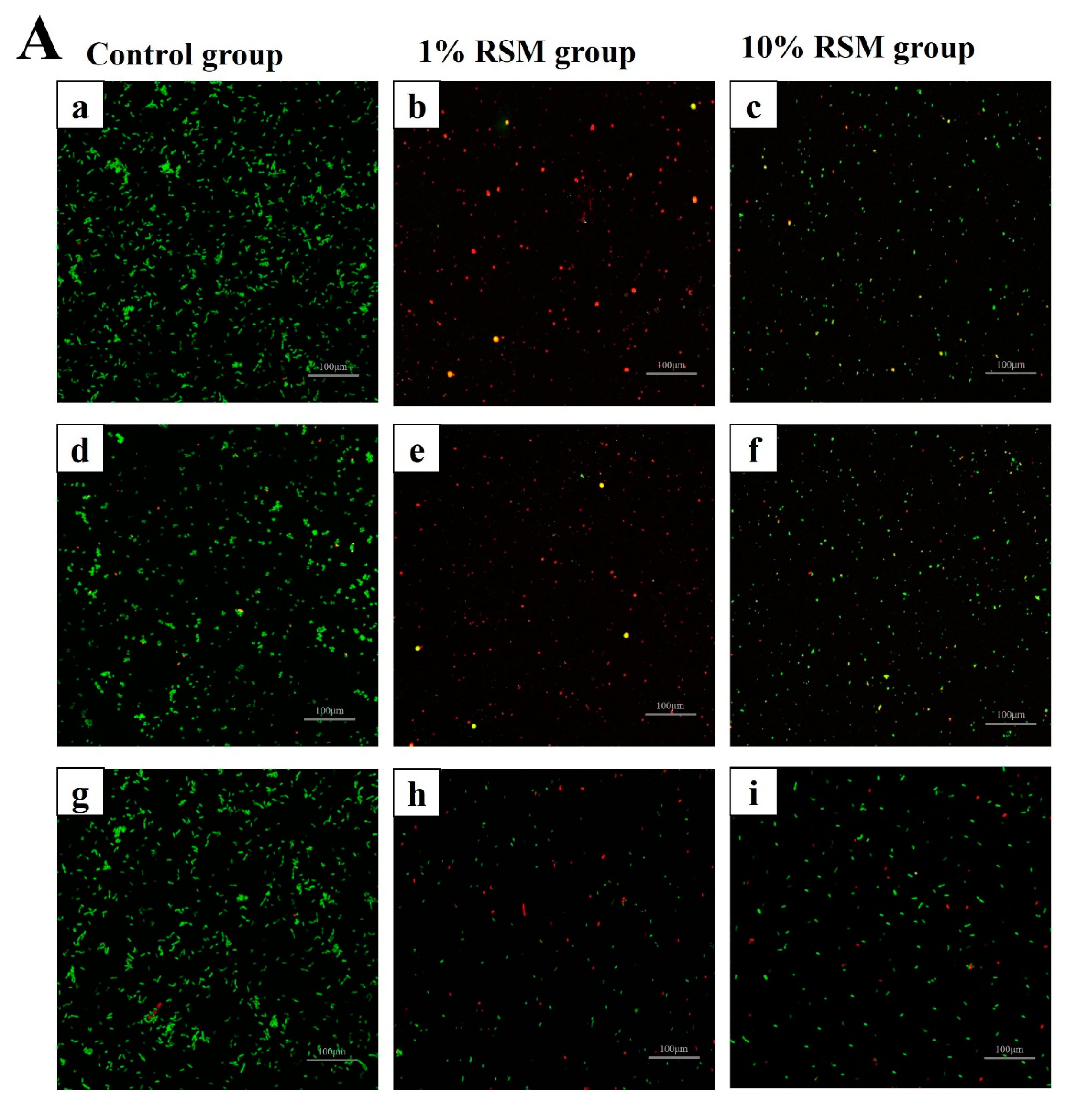 Microorganisms 12 01094 g004a