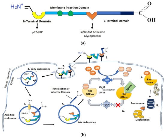 Microorganisms 12 01111 g001