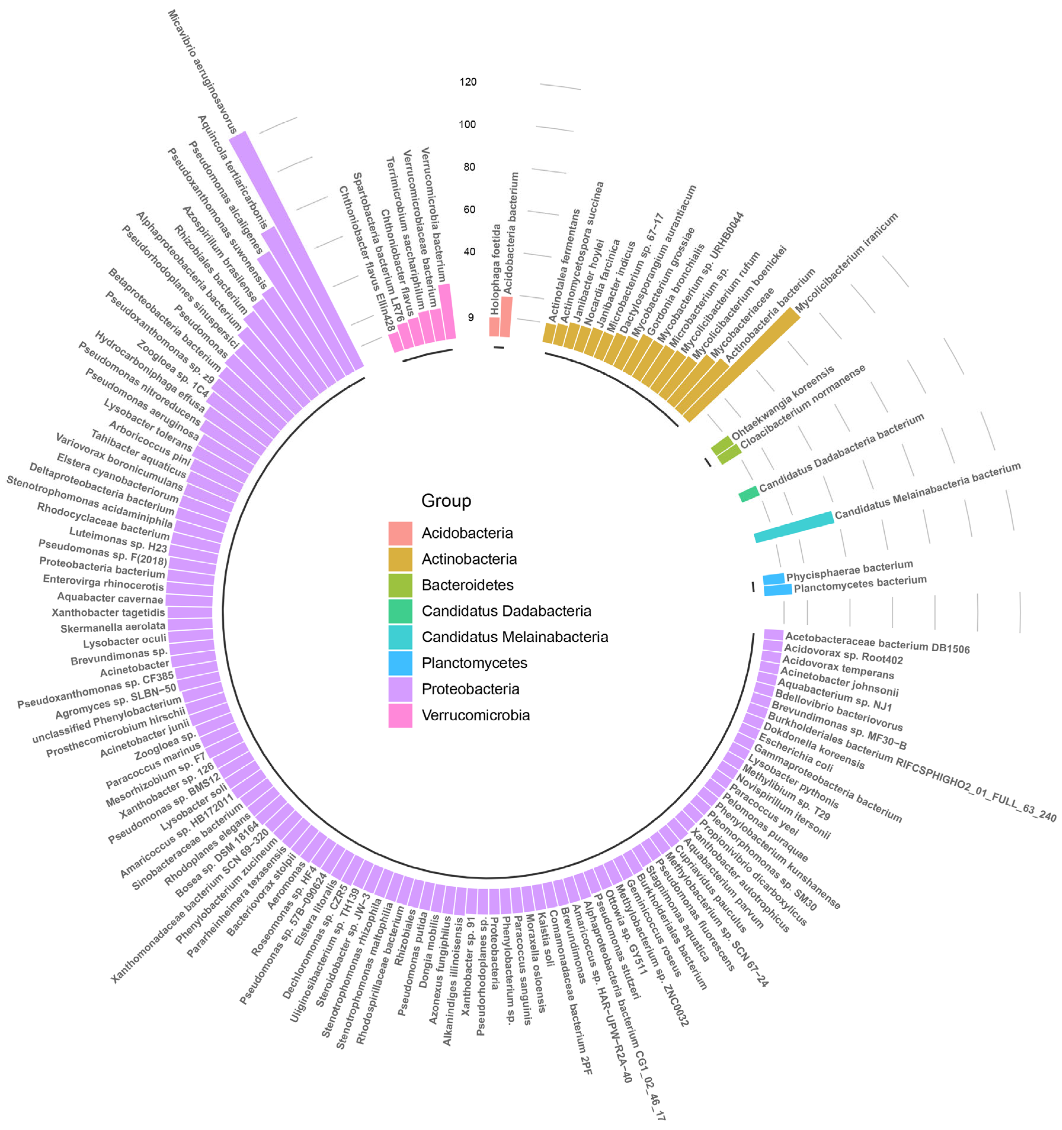 Microorganisms 12 01112 g004