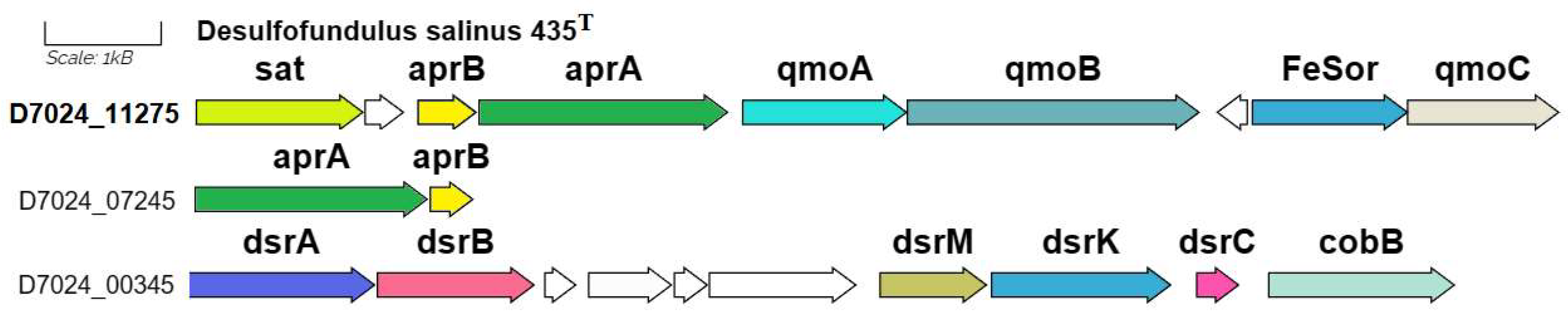 Microorganisms 12 01115 g005