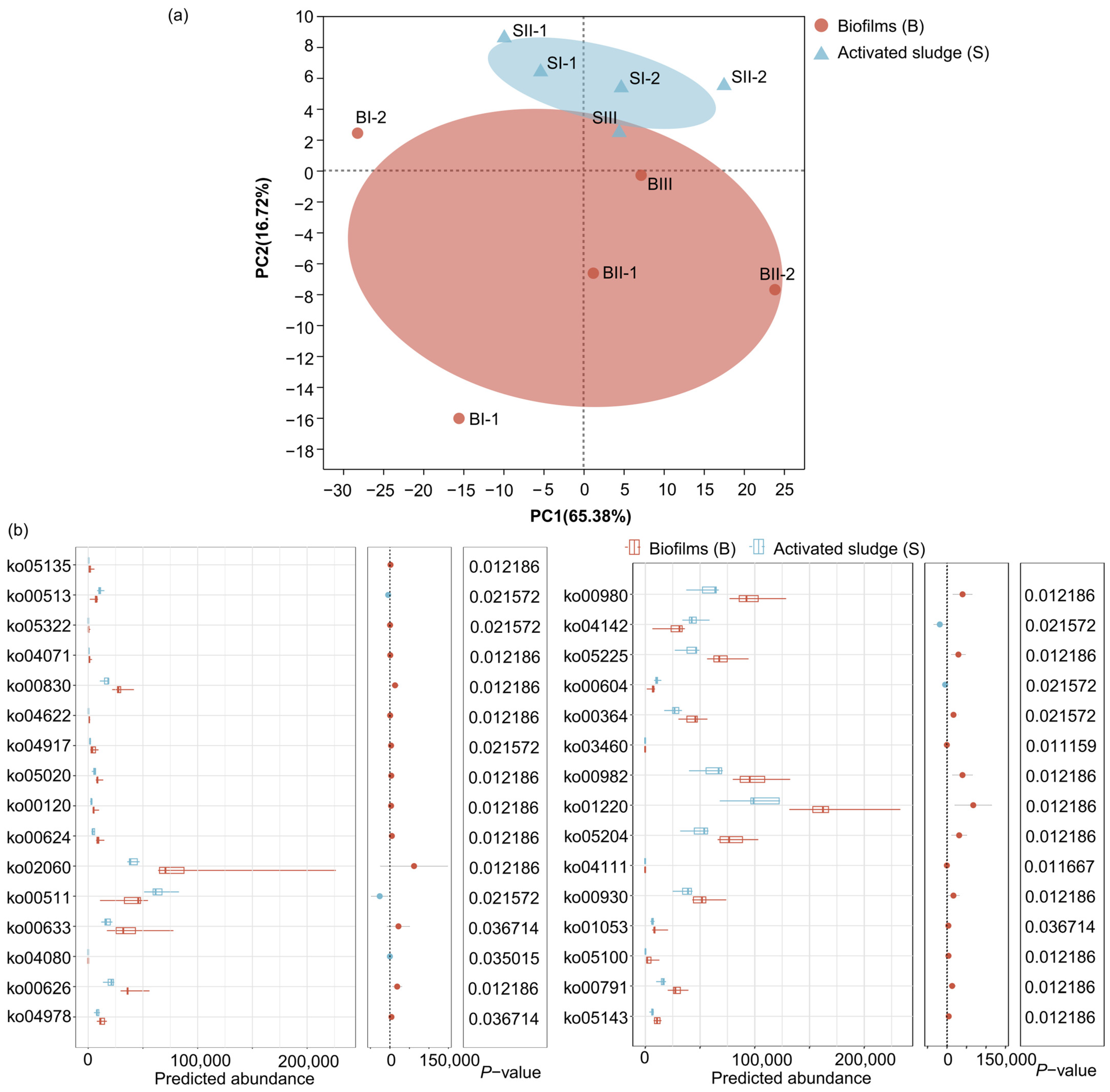 Microorganisms 12 01121 g008