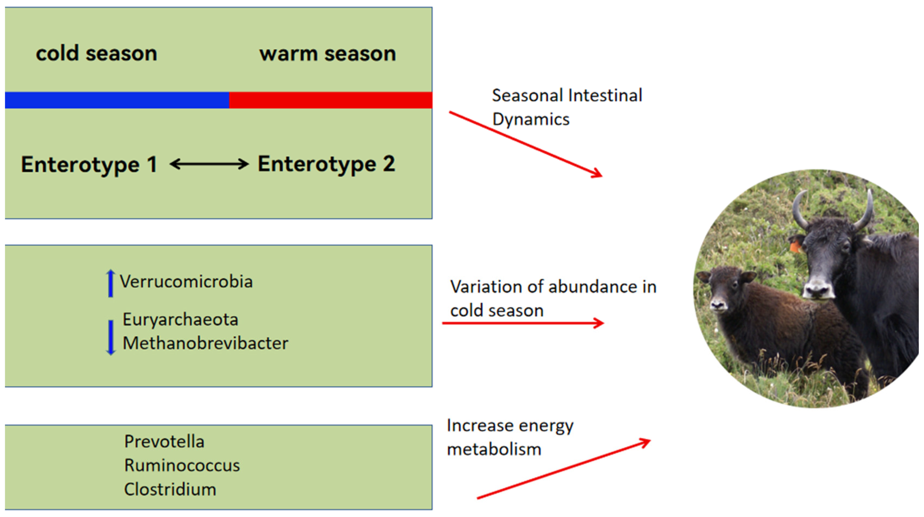 Microorganisms 12 01122 g001