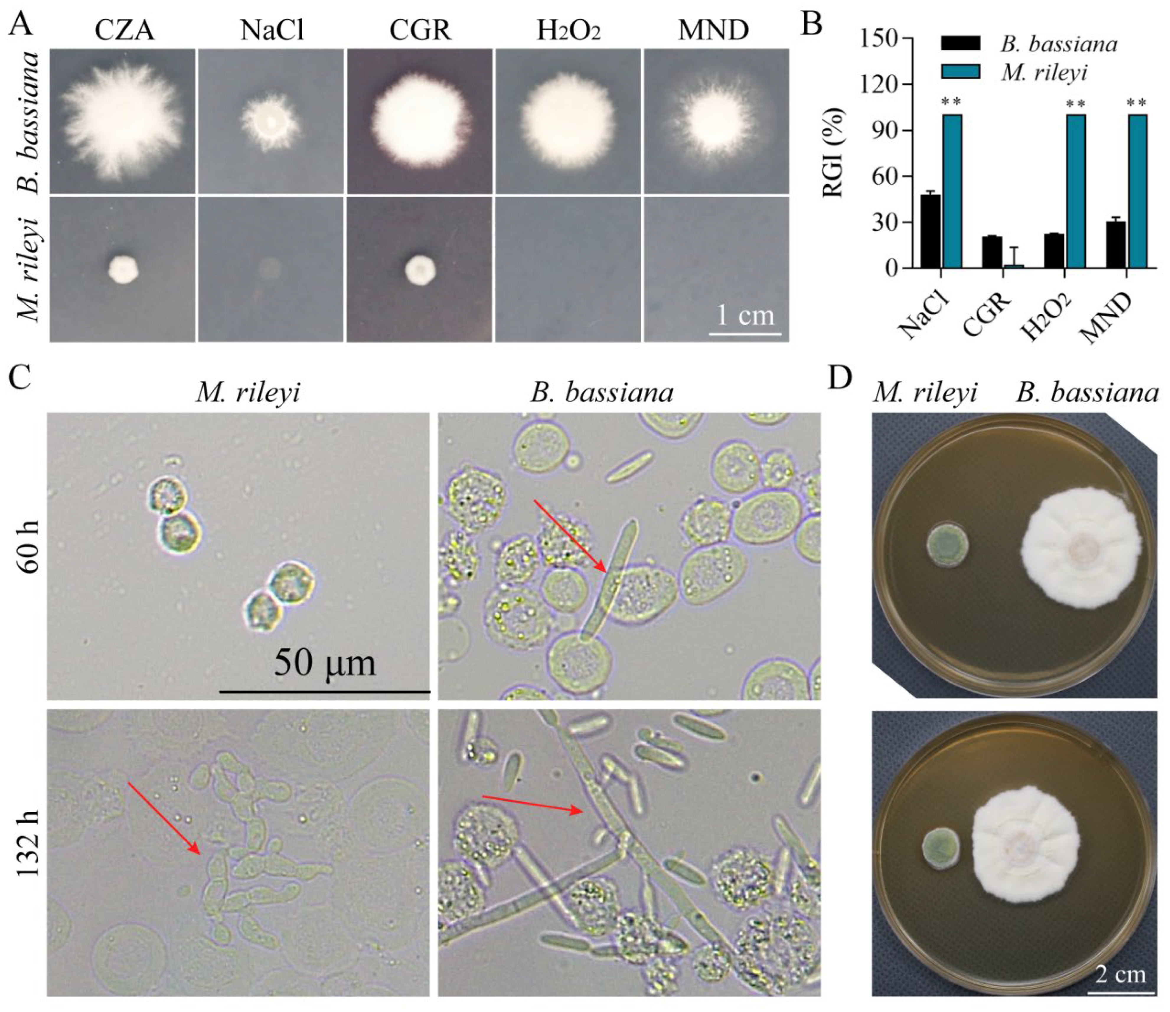 Microorganisms 12 01129 g006