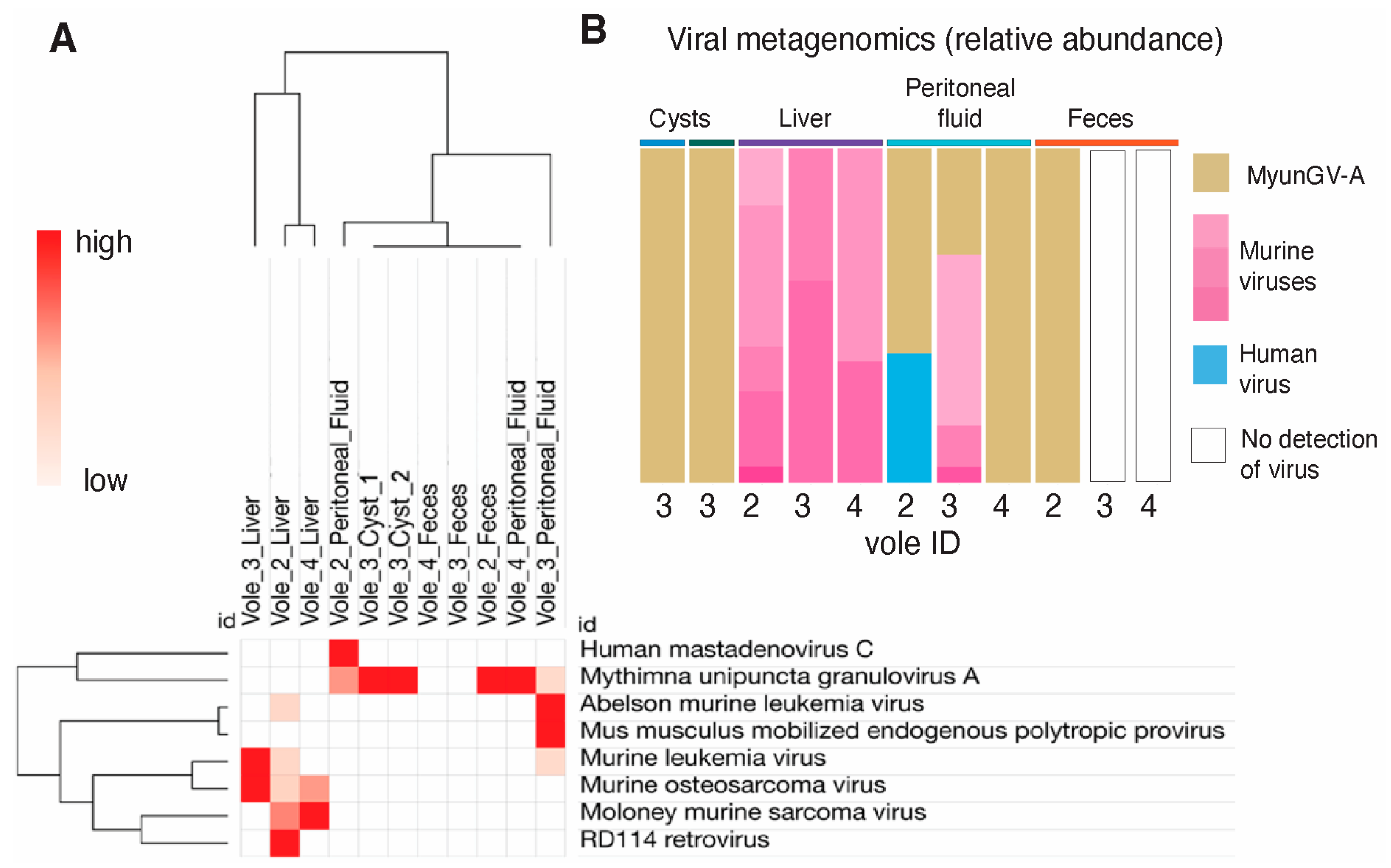 Microorganisms 12 01130 g003