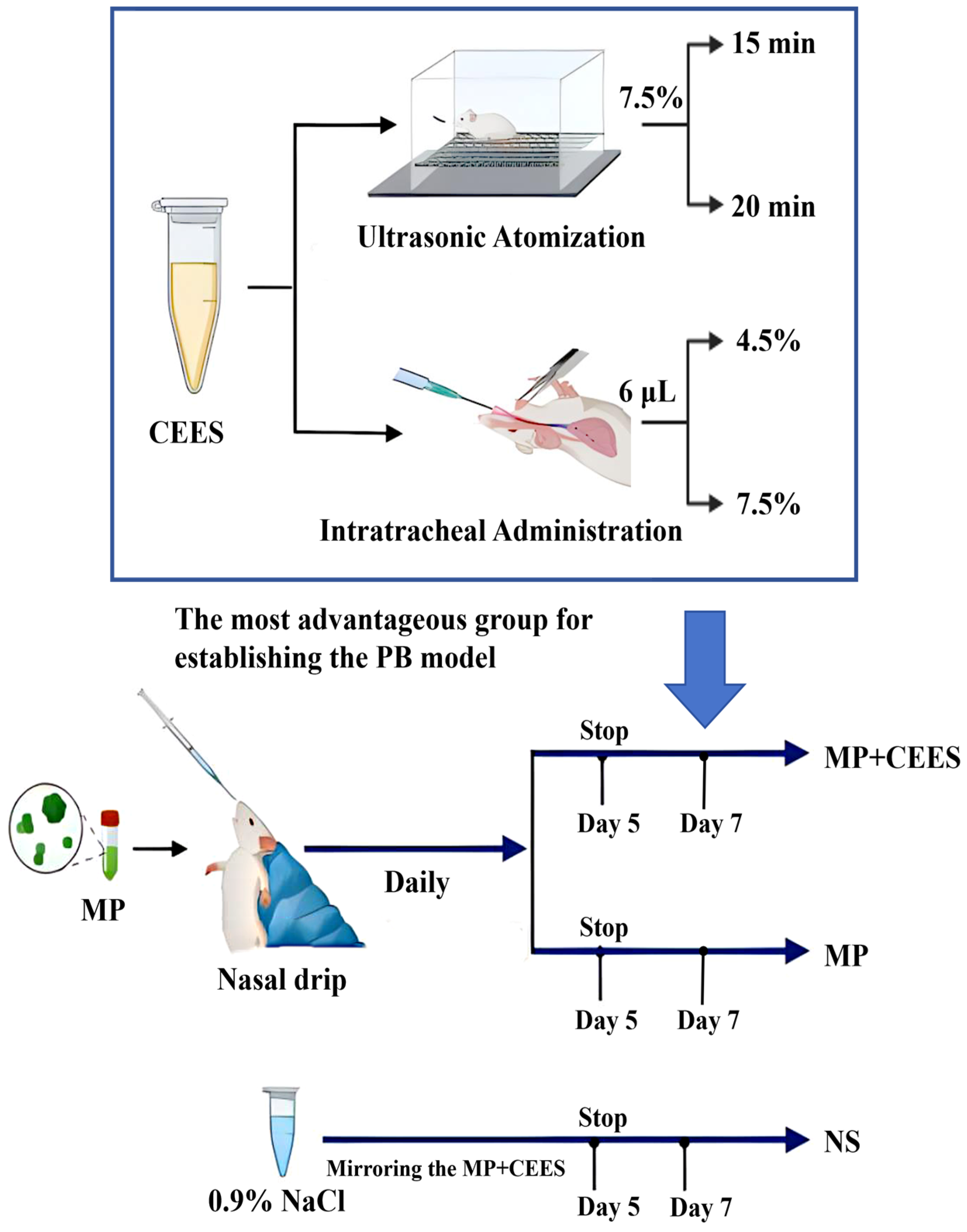 Microorganisms 12 01132 g001