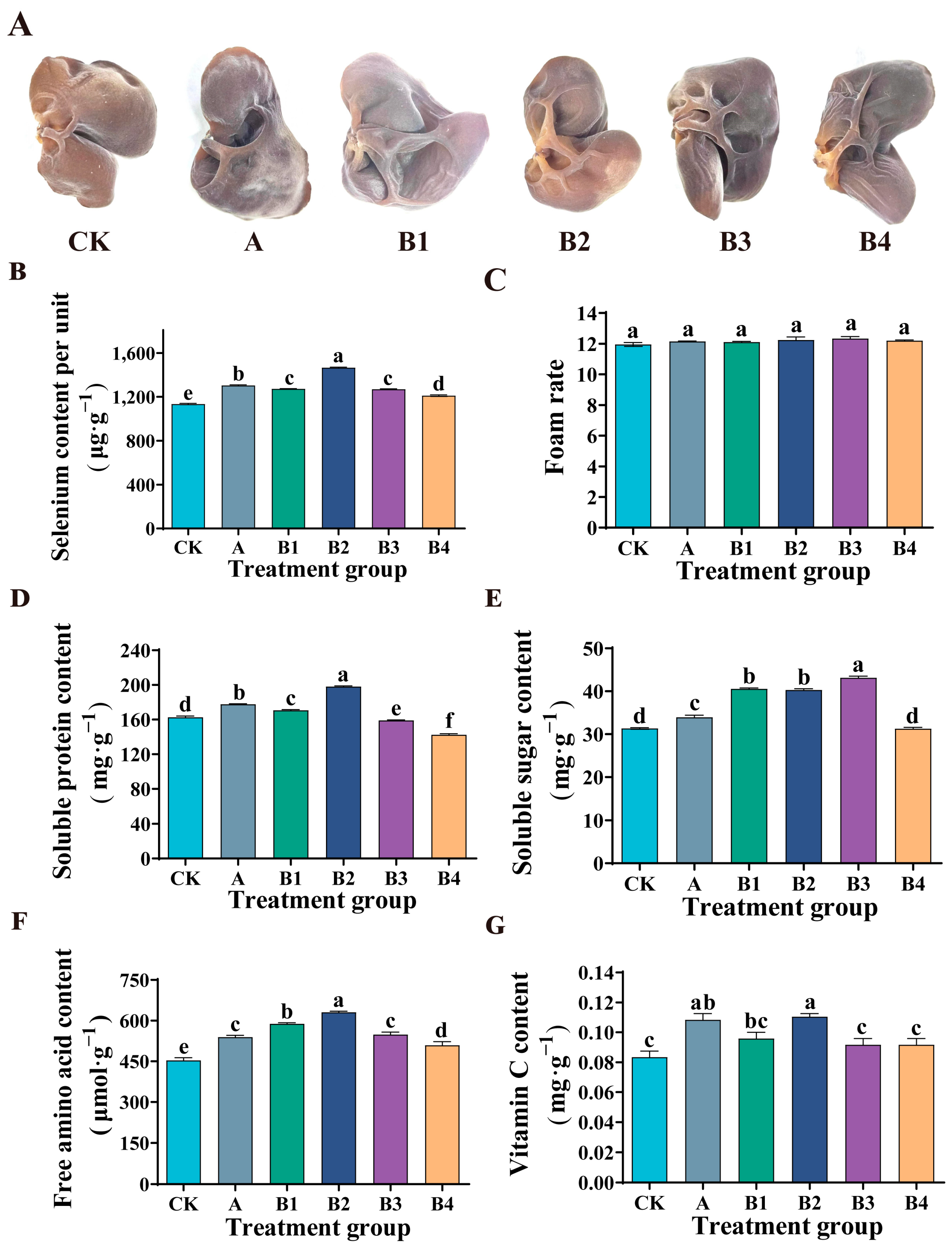 Microorganisms 12 01136 g004
