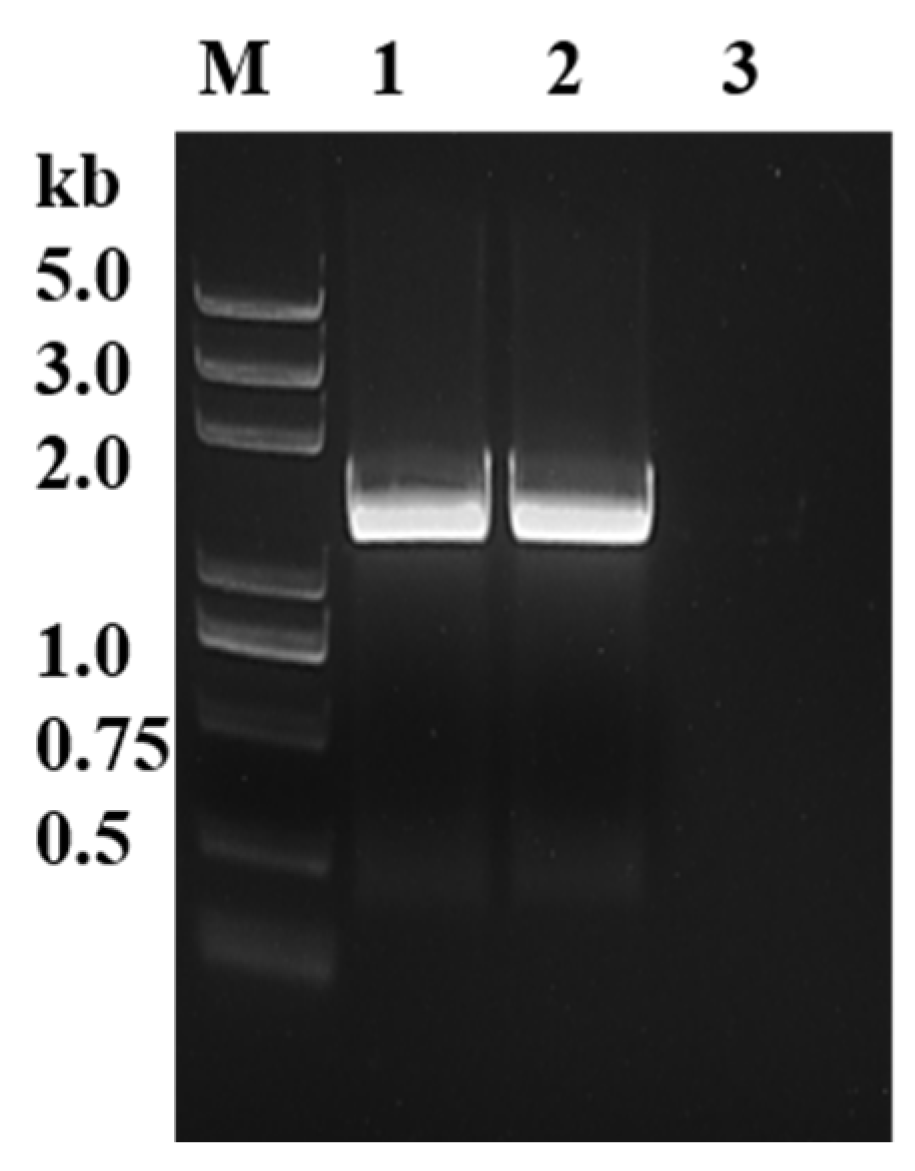 Microorganisms 12 01141 g001